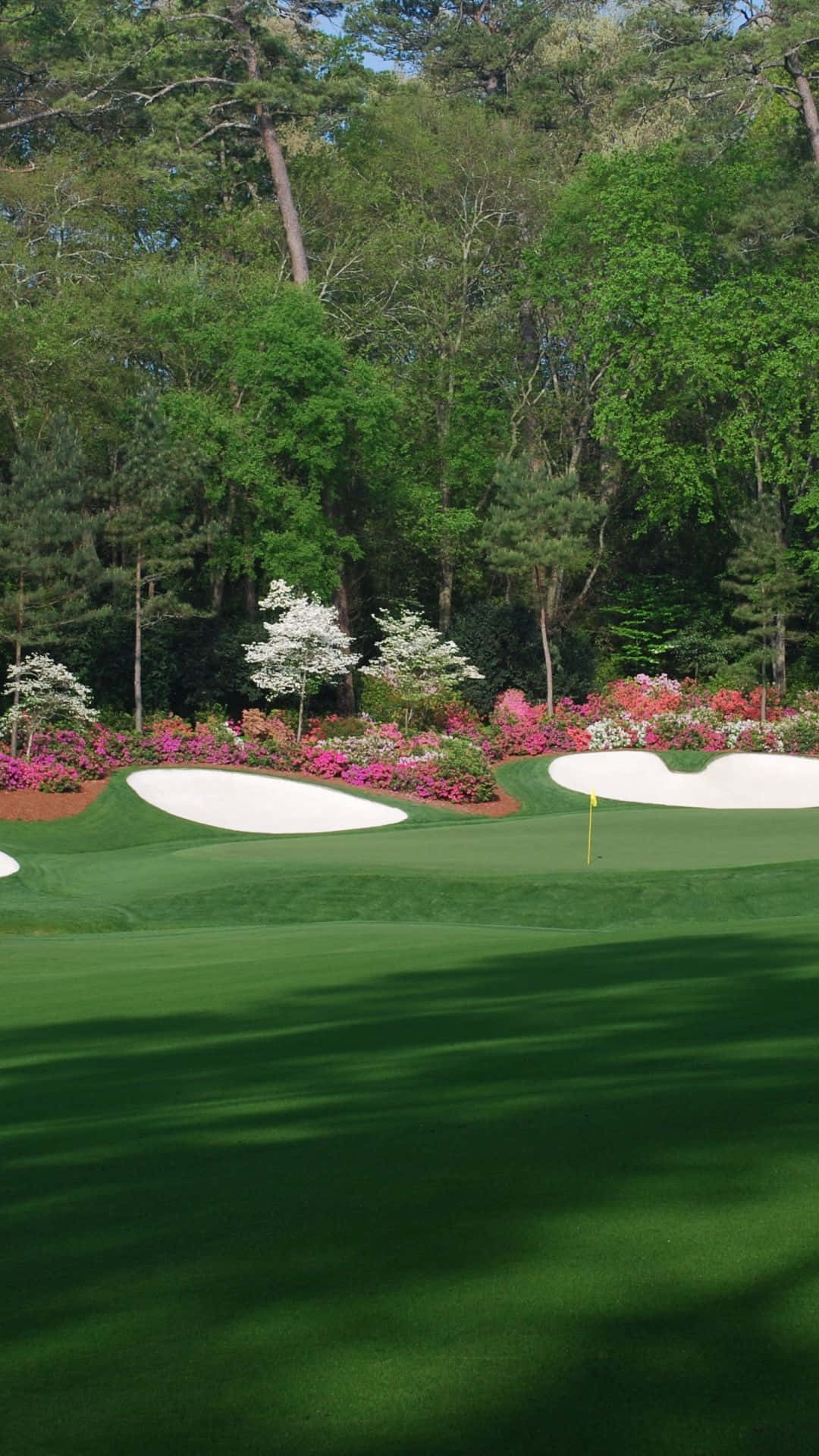 In Augusta National iPhone Wallpaper