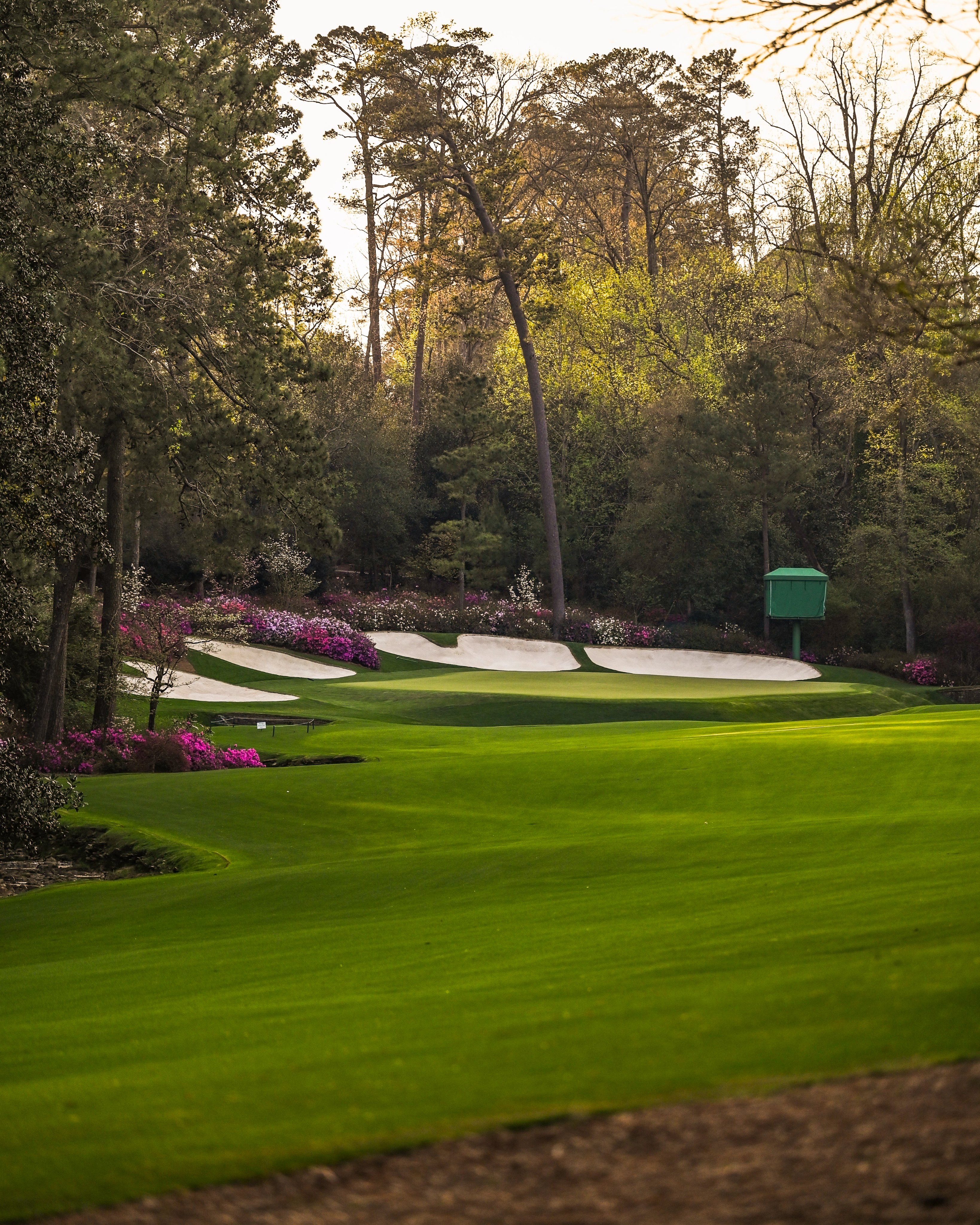 Eastside Golf week like none