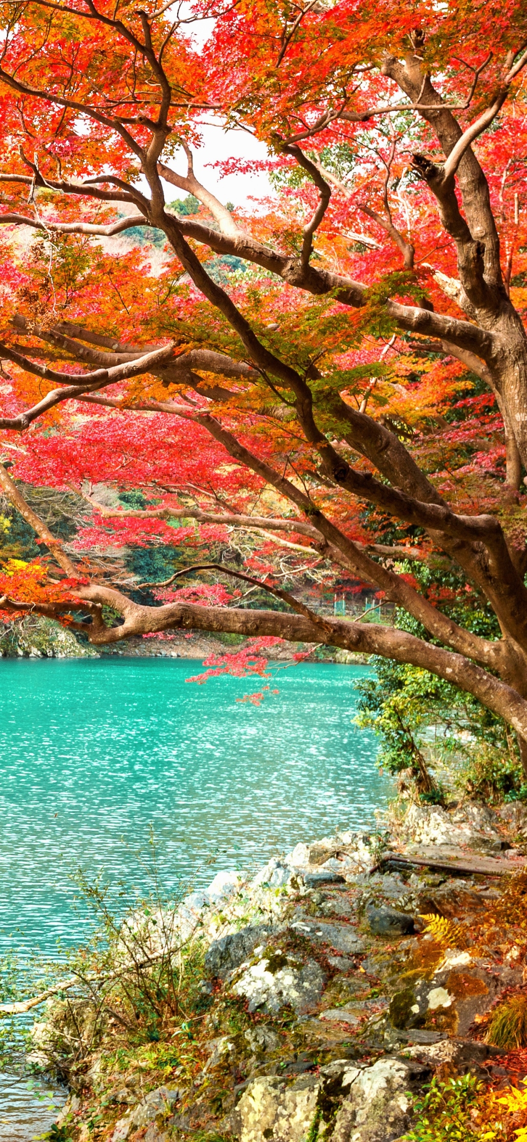 Download Arashiyama Nature Kyoto Japan