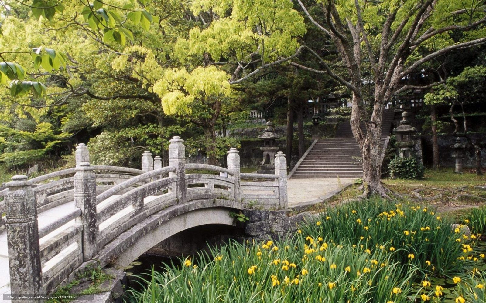 Download wallpaper Japan, bridge