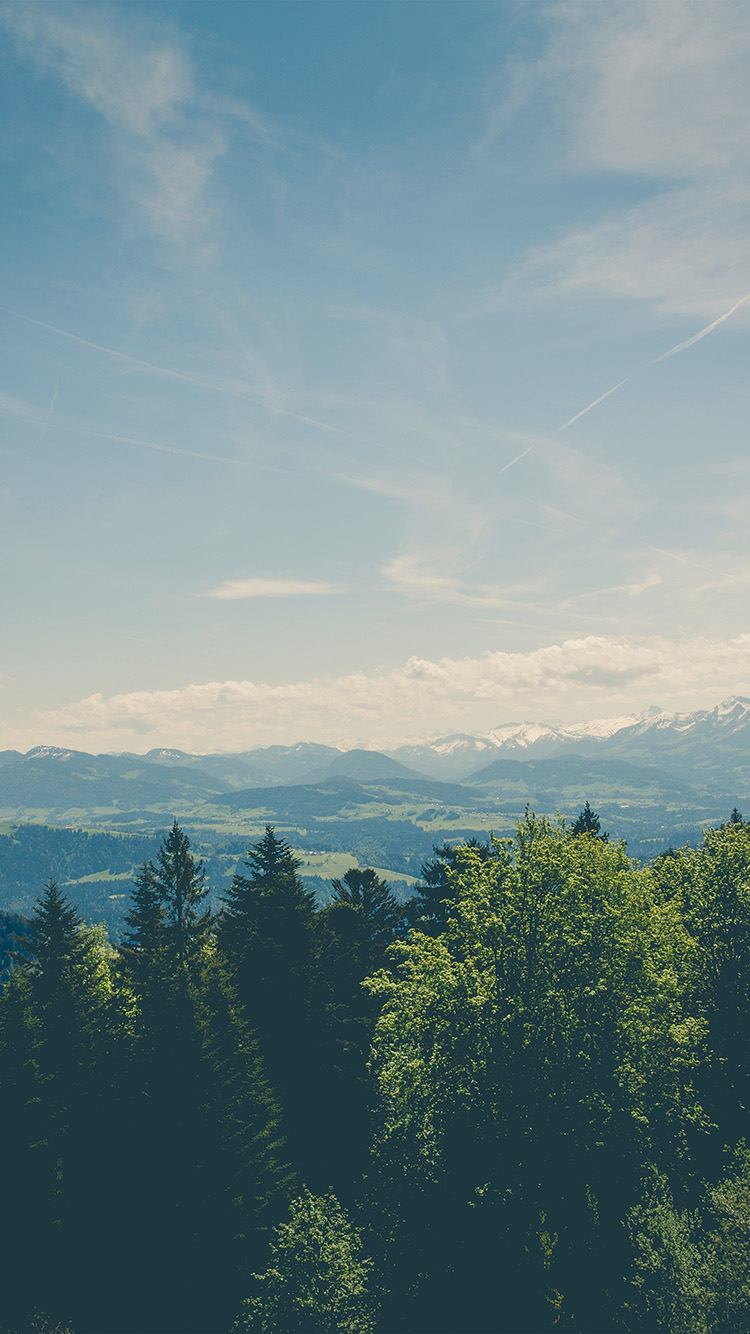 Green Land Sky Blue Summer Nature