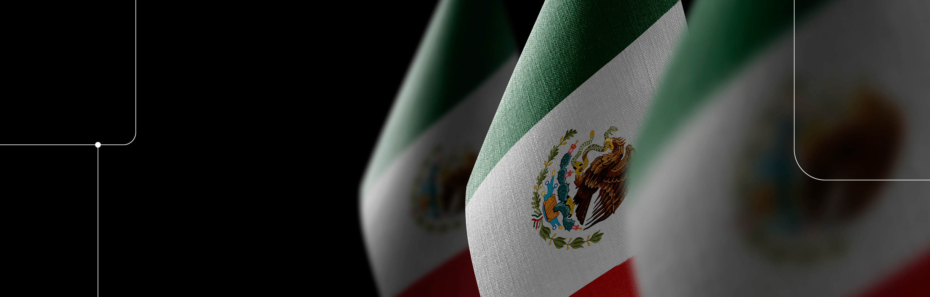Democratic Integrity: Mexico 2024
