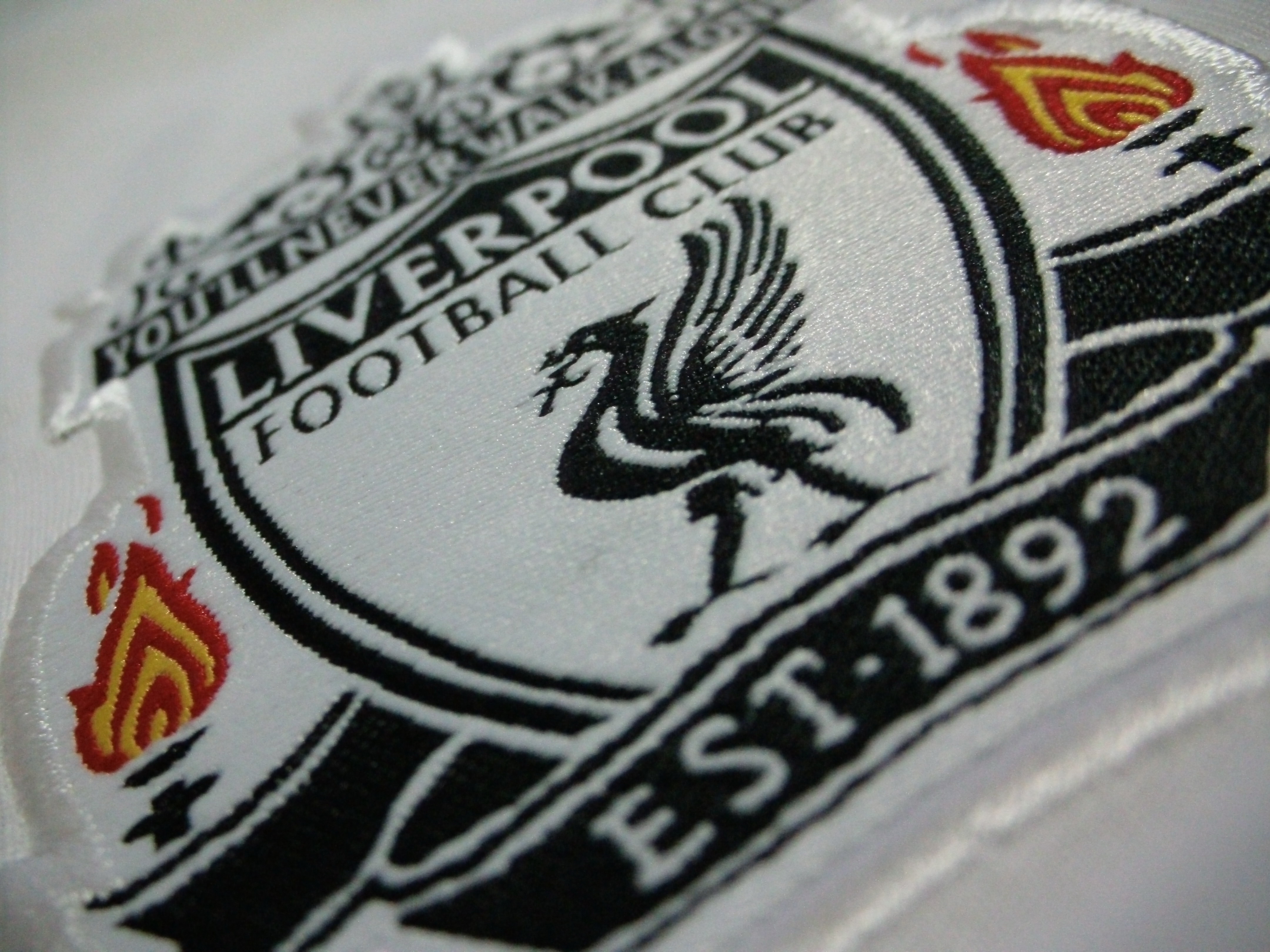 Download Liverpool F C wallpaper
