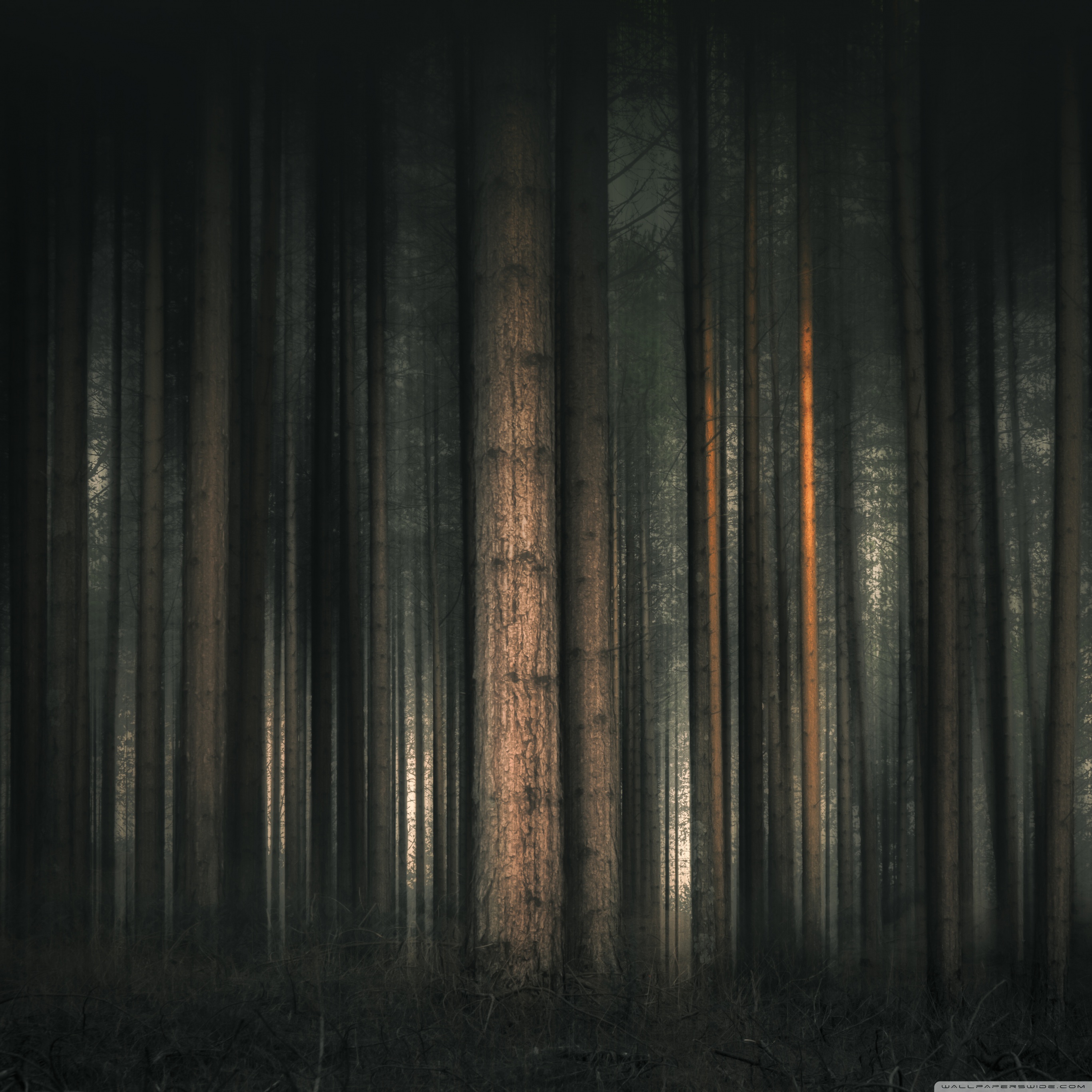 Ultra HD Desktop Background Wallpaper