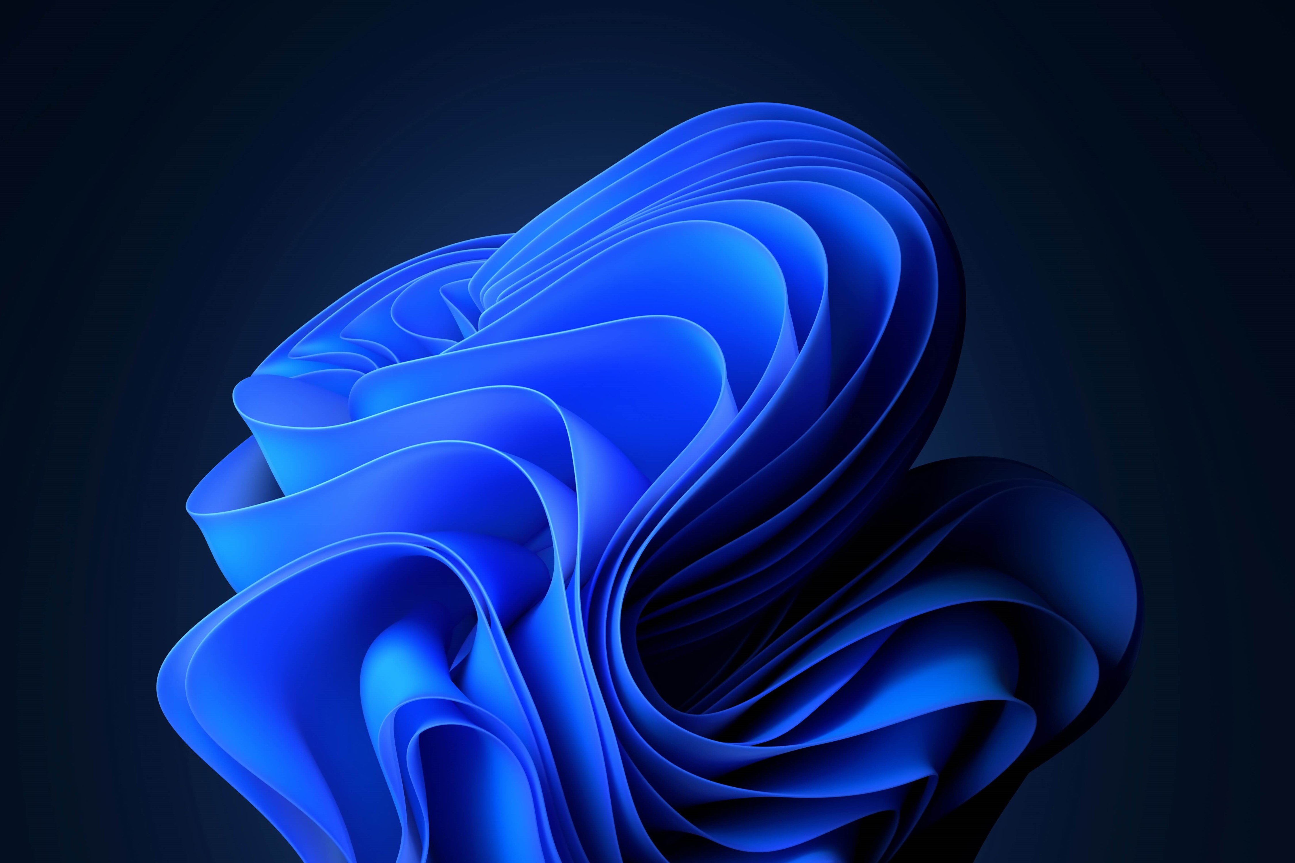 Windows 11 by Microsoft. Wallpaper