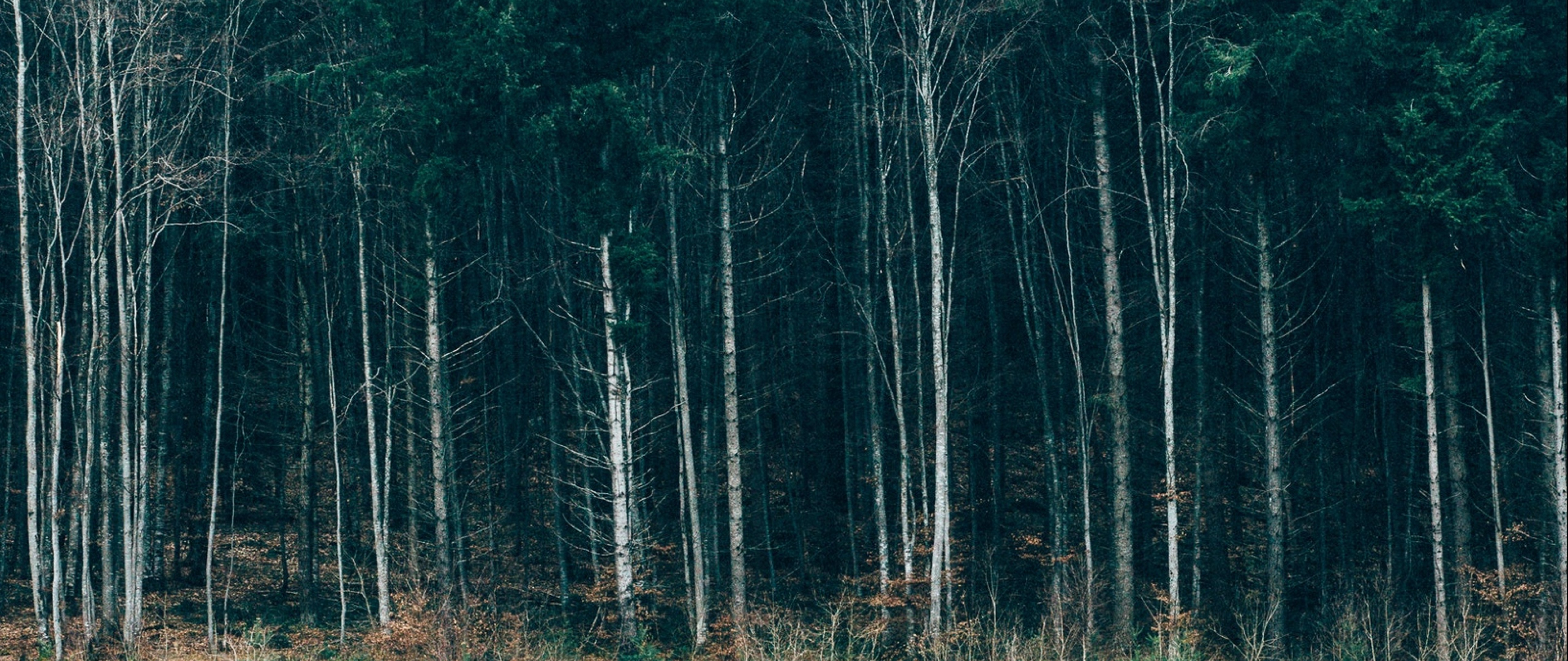 Serbia HD Wallpaper 4K Ultra HD Wide TV