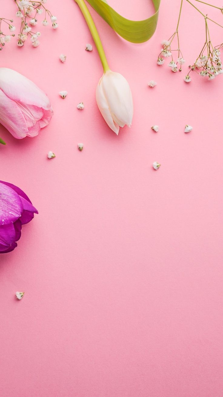 Pretty Pink Wallpaper For Phone