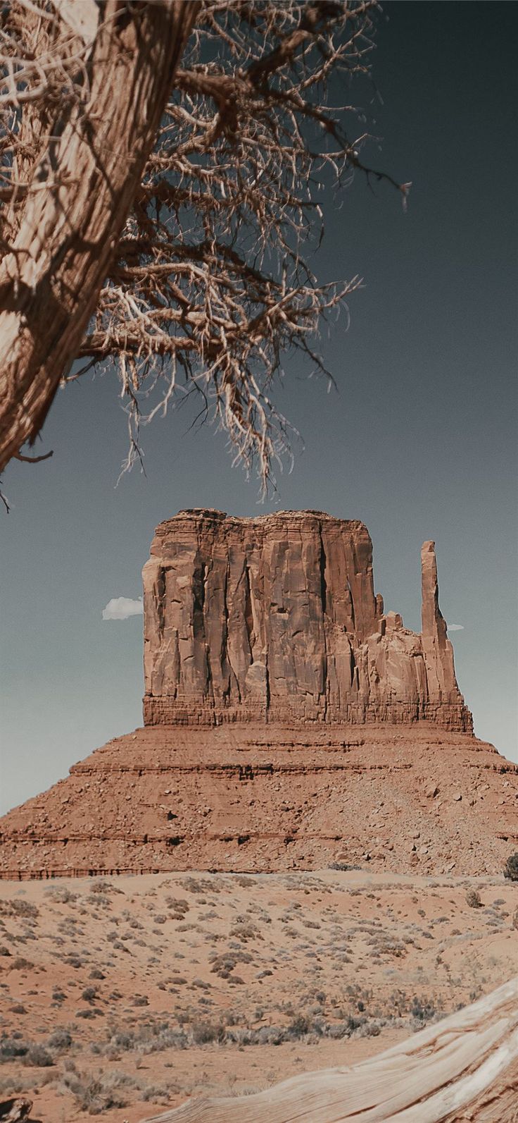 Wallpaper. Nature iphone wallpaper