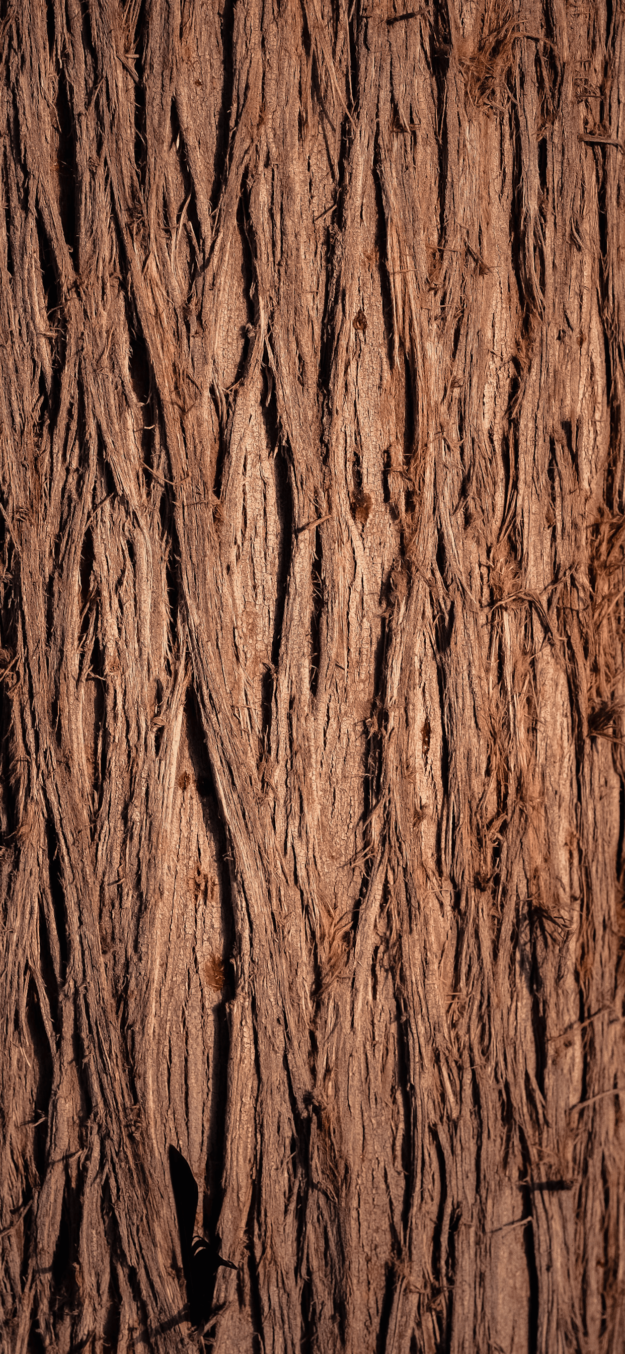 Wood Wallpaper for iPhone 11, Pro Max