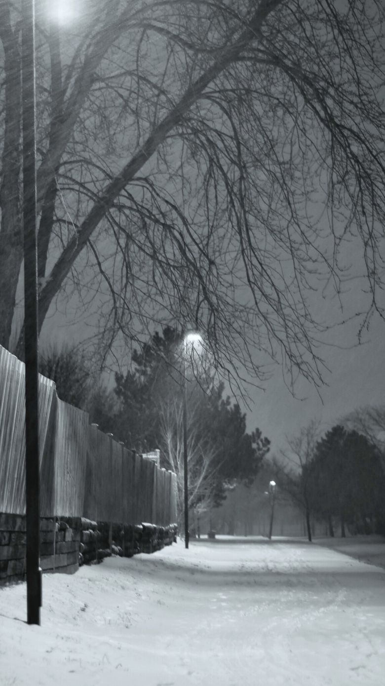 Winter Wallpaper For IPhone