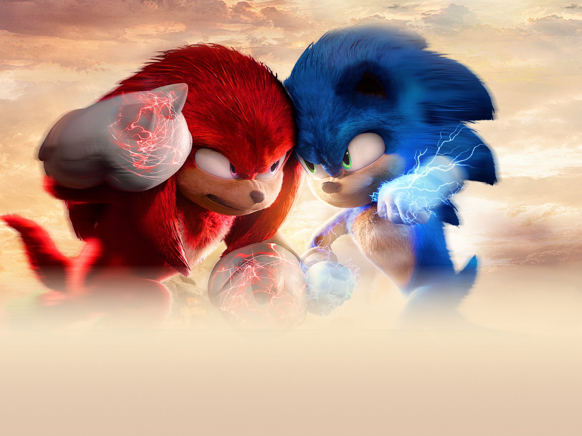Echidna Sonic The Hedgehog Movie Sonic