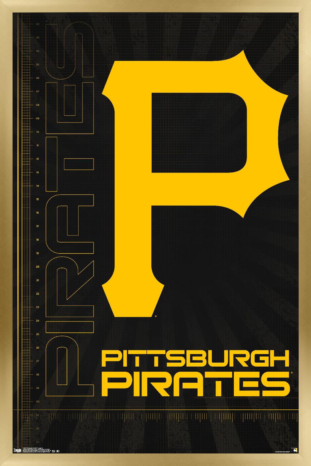 MLB Pittsburgh Pirates 16 Wall