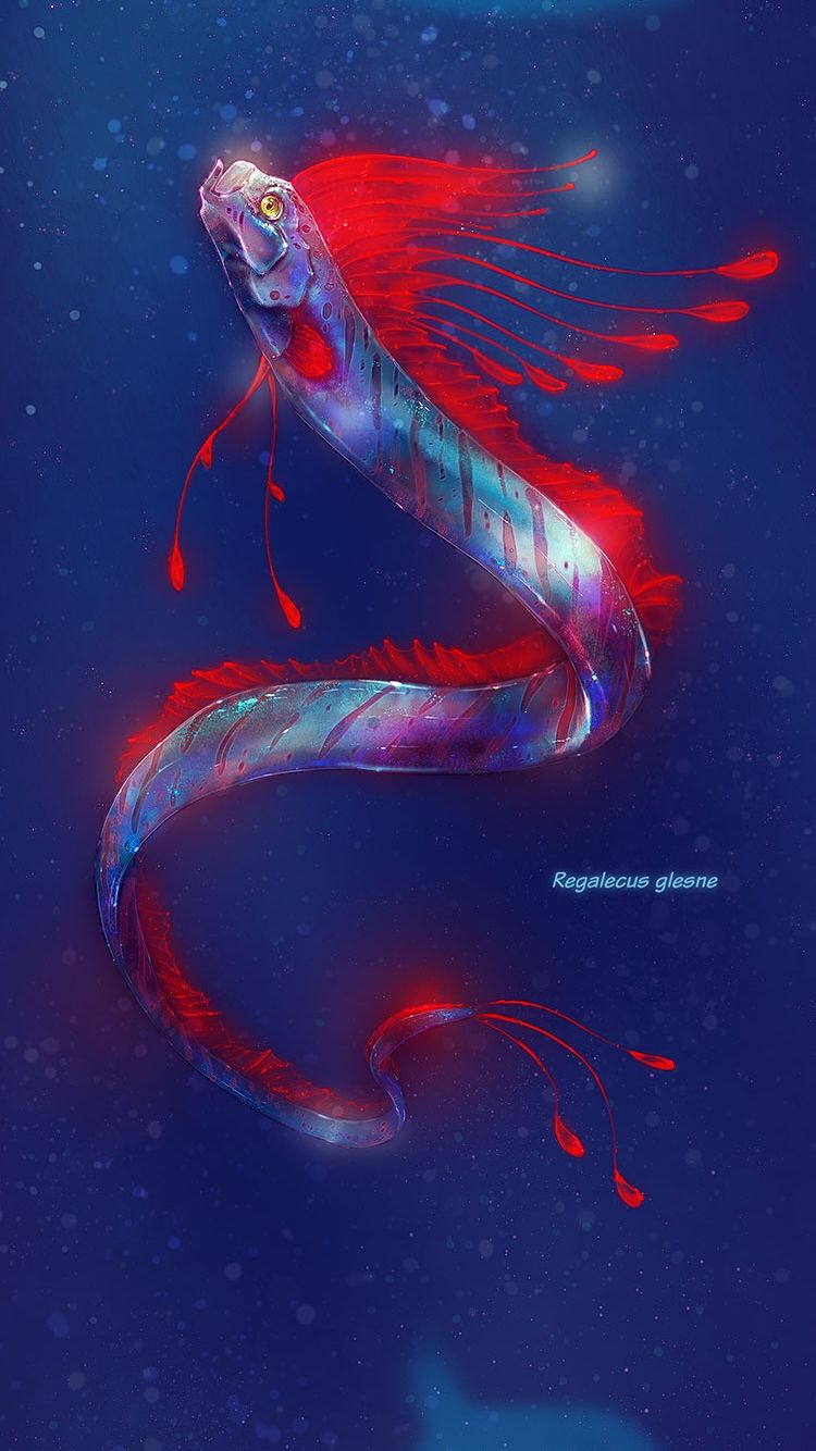 Pose Reference for Moray Eel or Viperfish