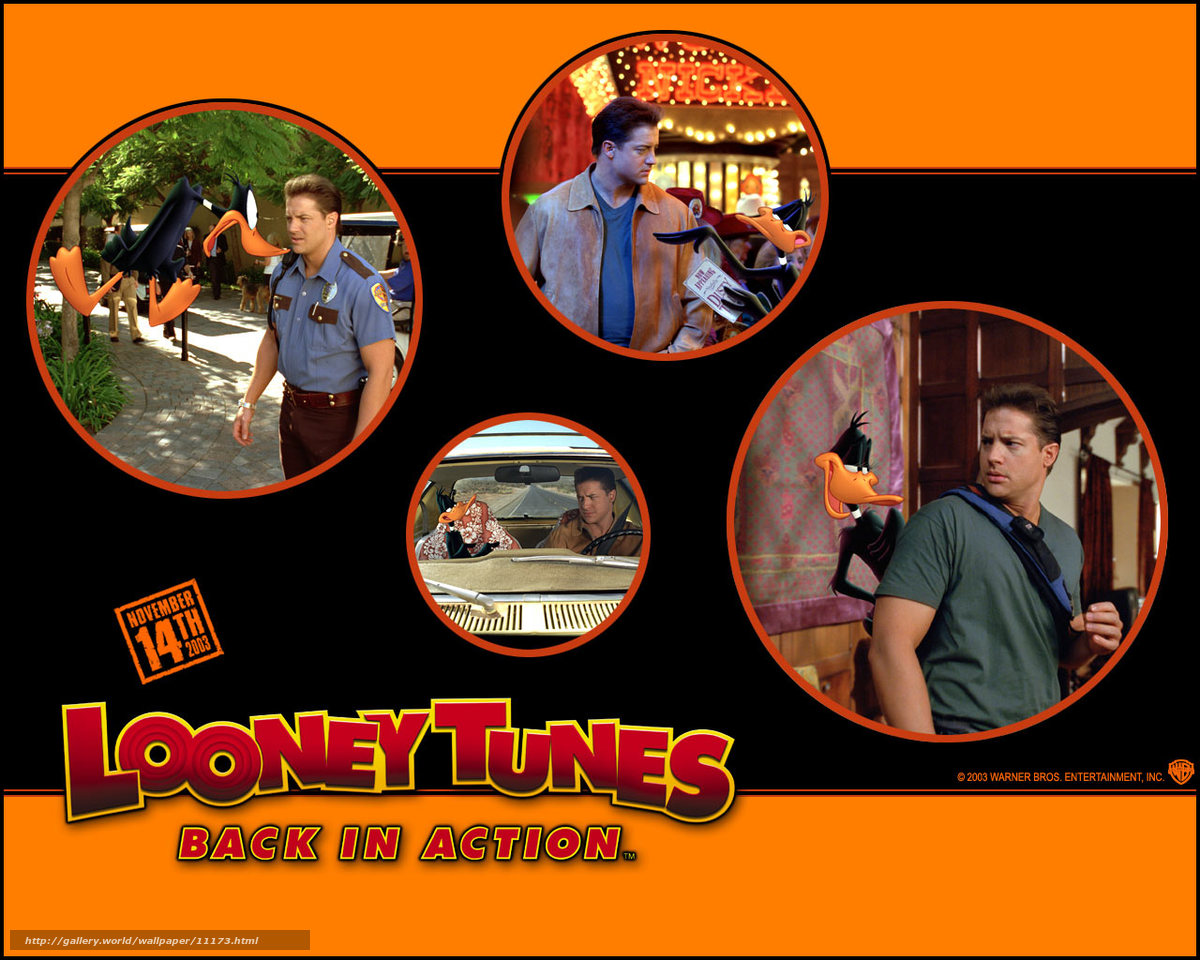 Download wallpaper Looney Tunes: Back