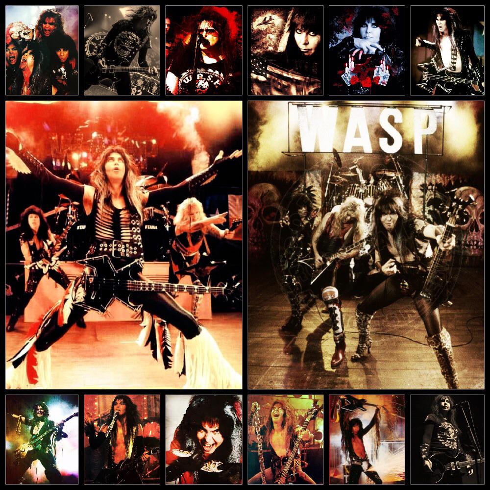 A New Collage, R WASP_Fans