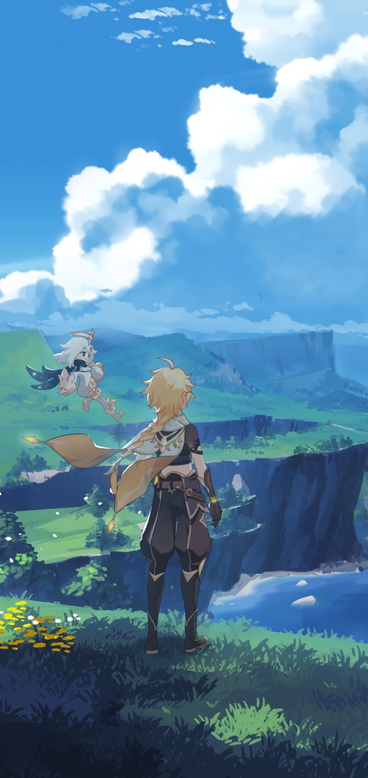 Video Game Genshin Impact Phone