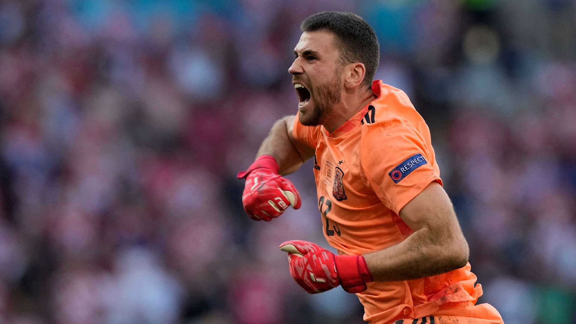 Luis Enrique praises Spain goalkeeper