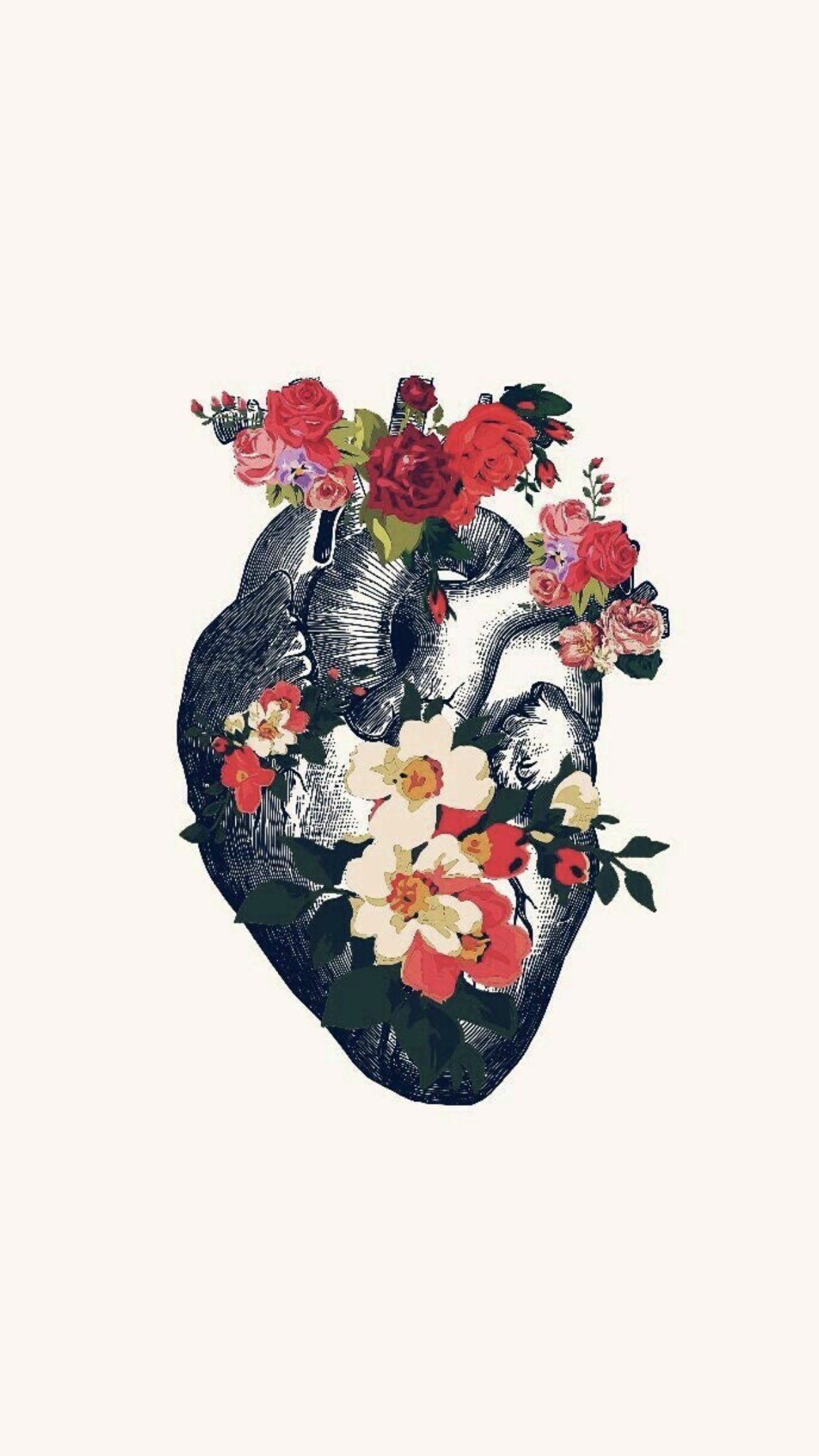 خلفيات. Wallpaper on Twitter. Anatomy