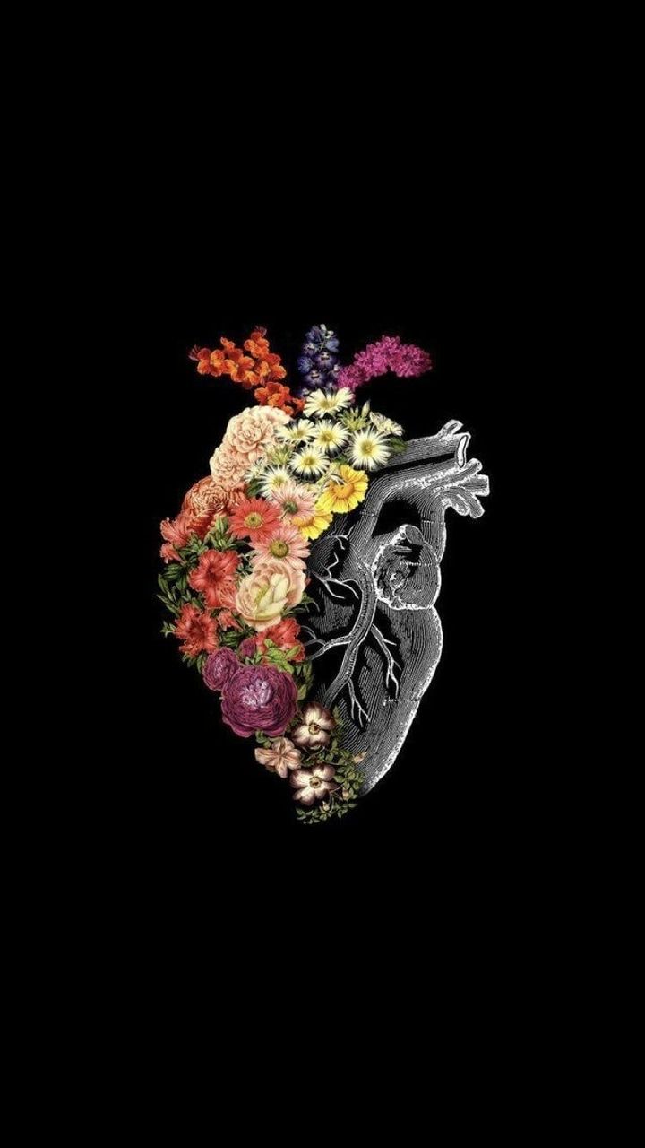 Human anatomy art, Heart iphone wallpaper