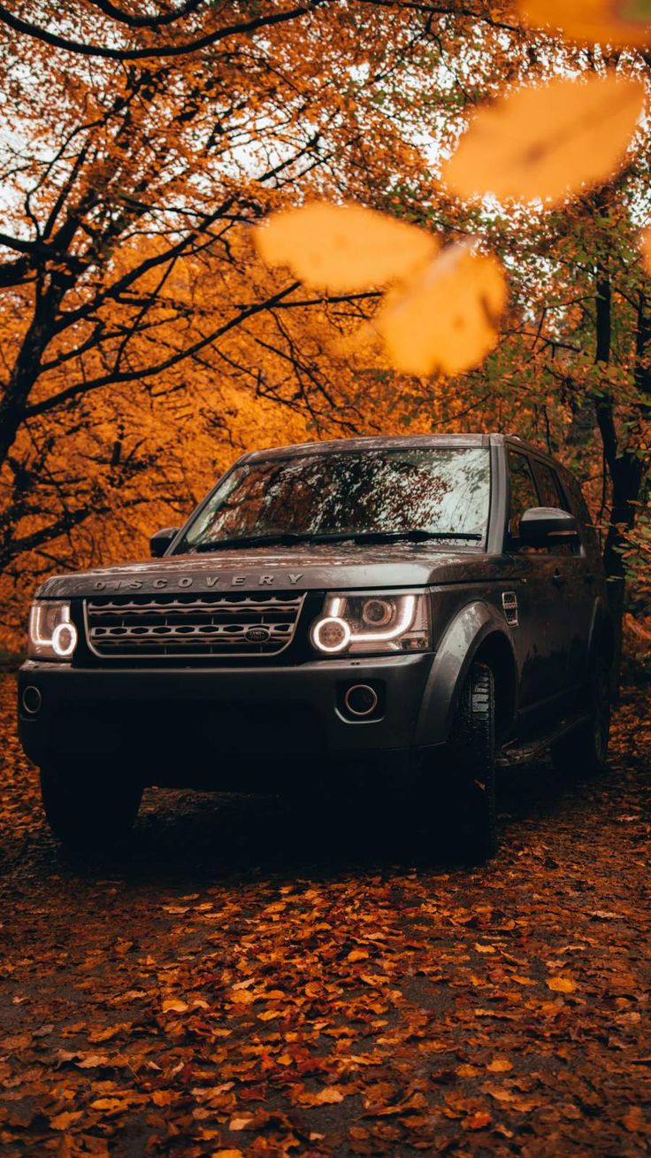 Land Rover Discovery Autumn. Land