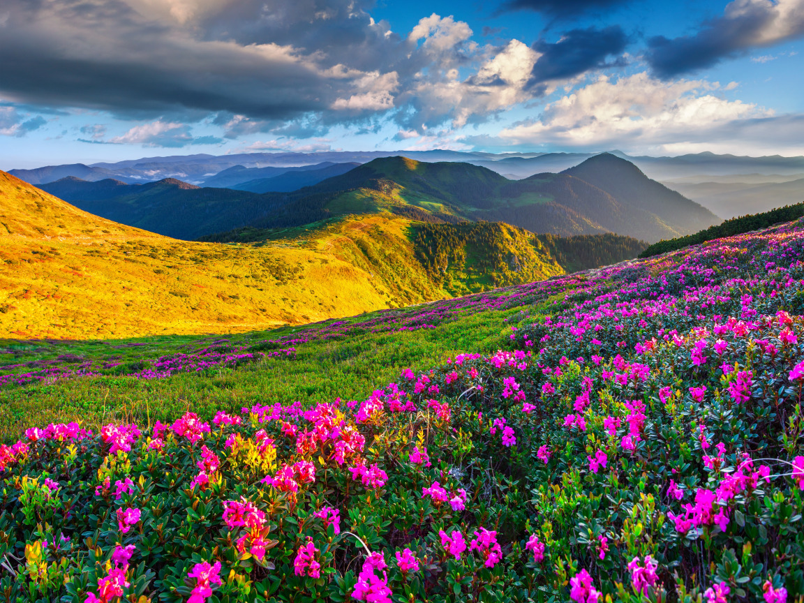 Download wallpaper the sky, the sun