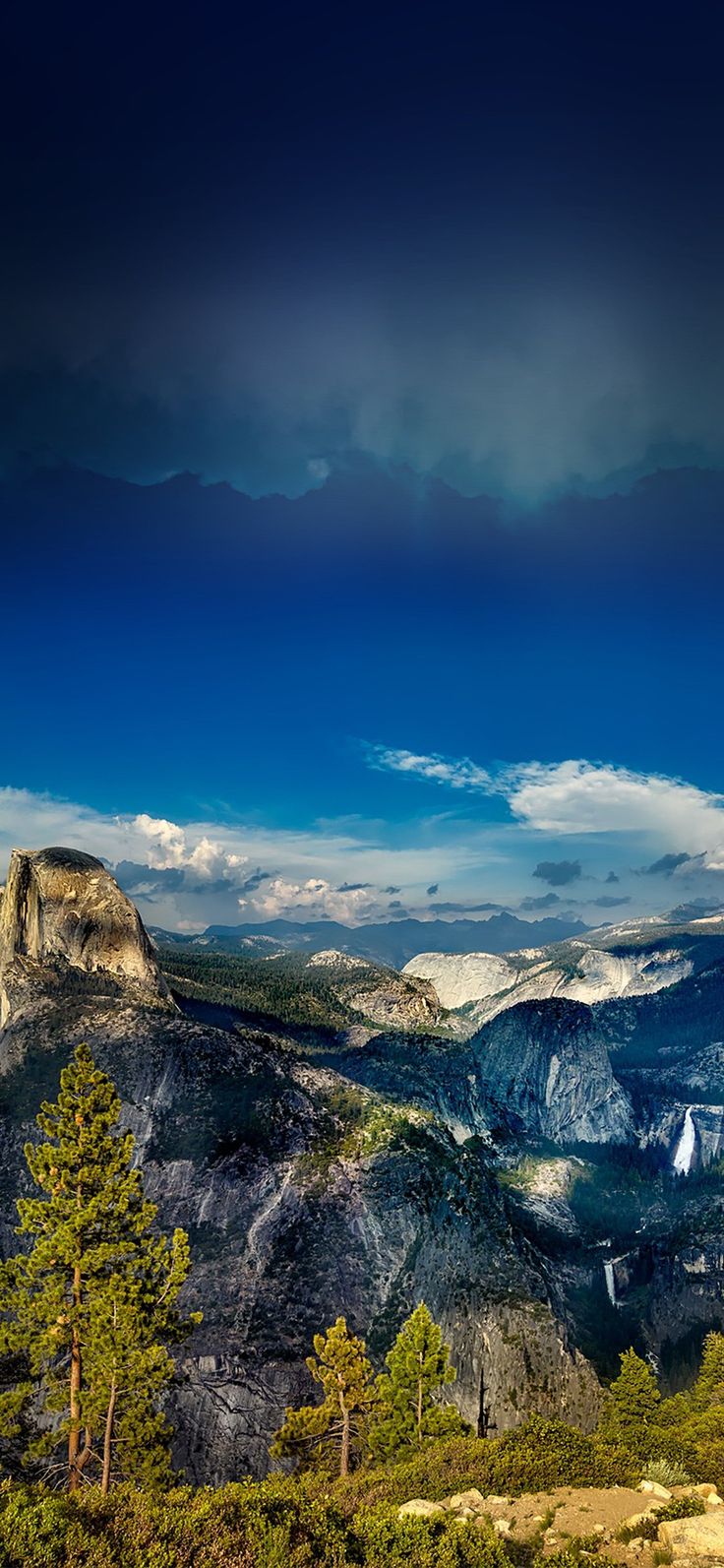 Mountain tree summer iPhone X wallpaper