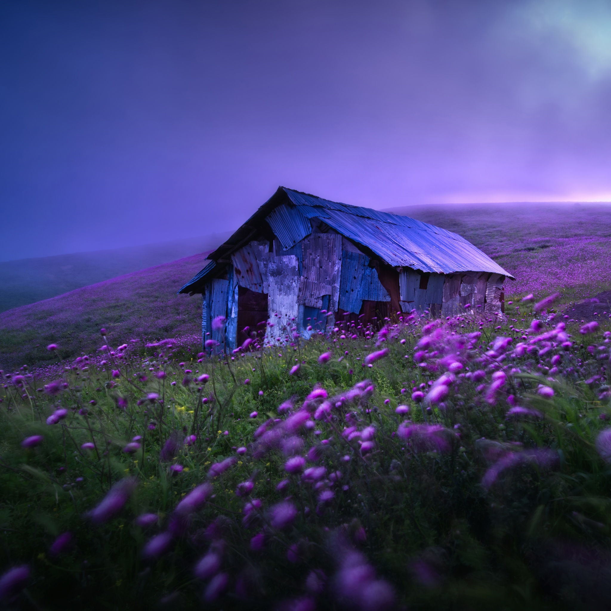 Landscape Wallpaper 4K, Spring, Violet