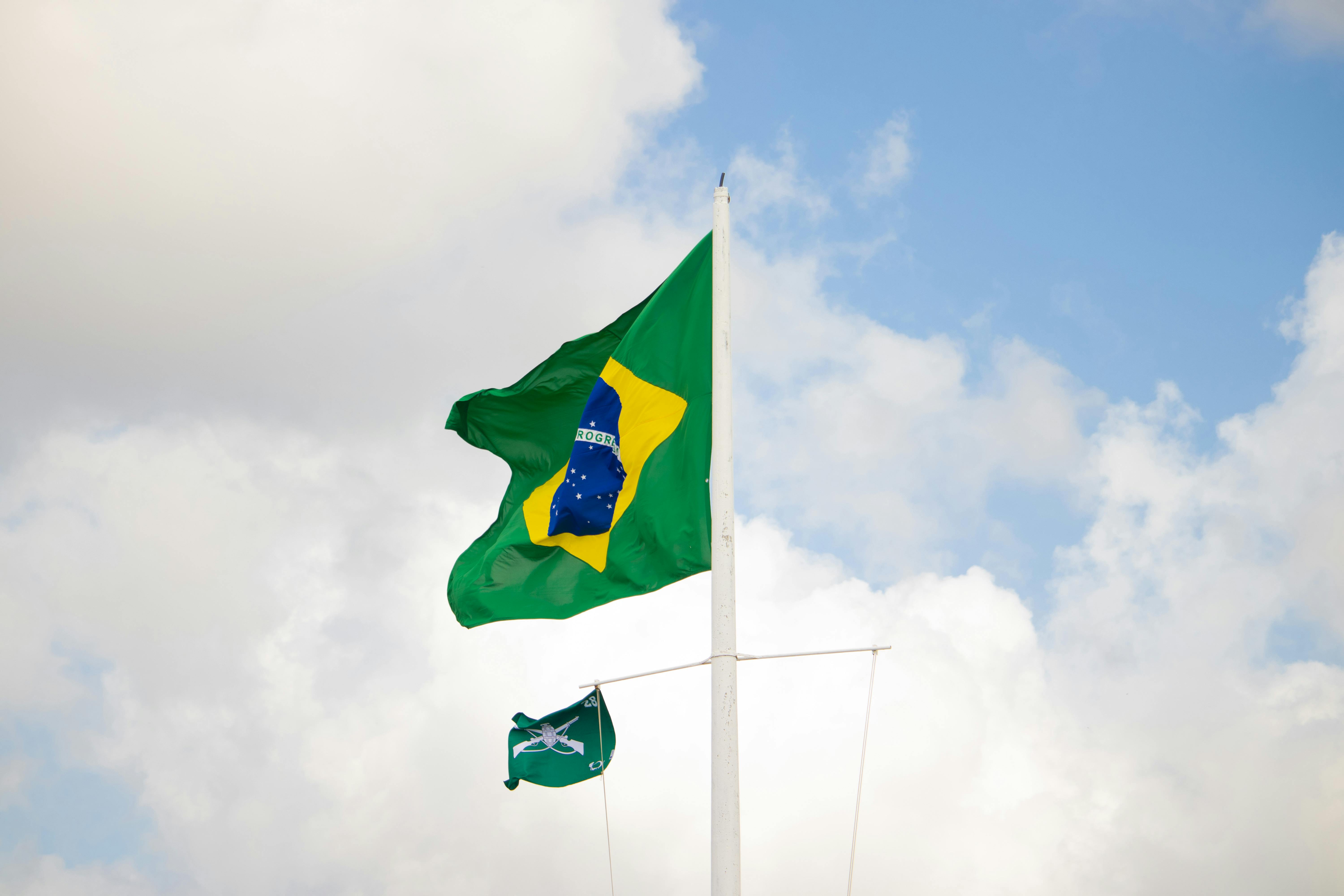 Flag of Brazil in Wind · Free