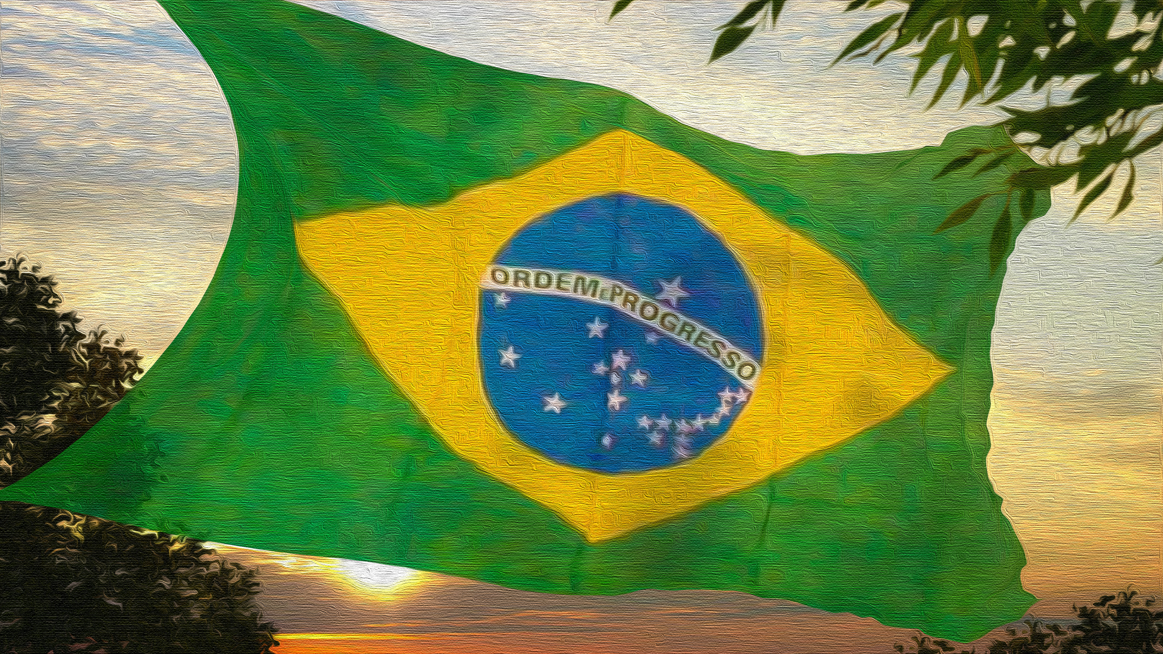 Brazilian Flag on Canvas