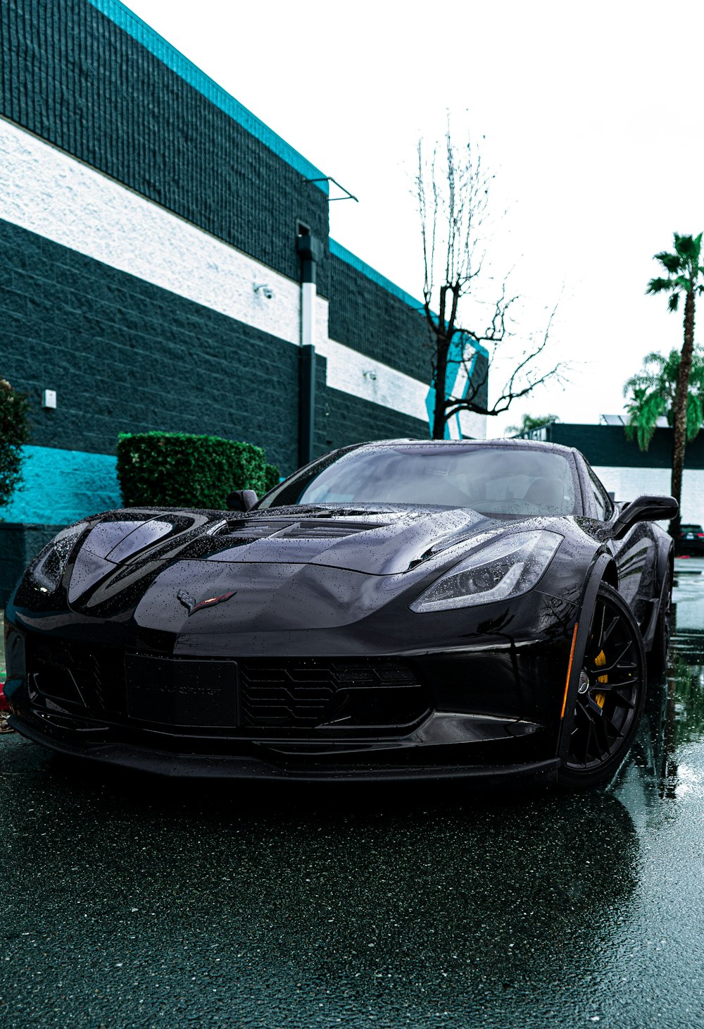 Chevrolet Corvette Picture. Download