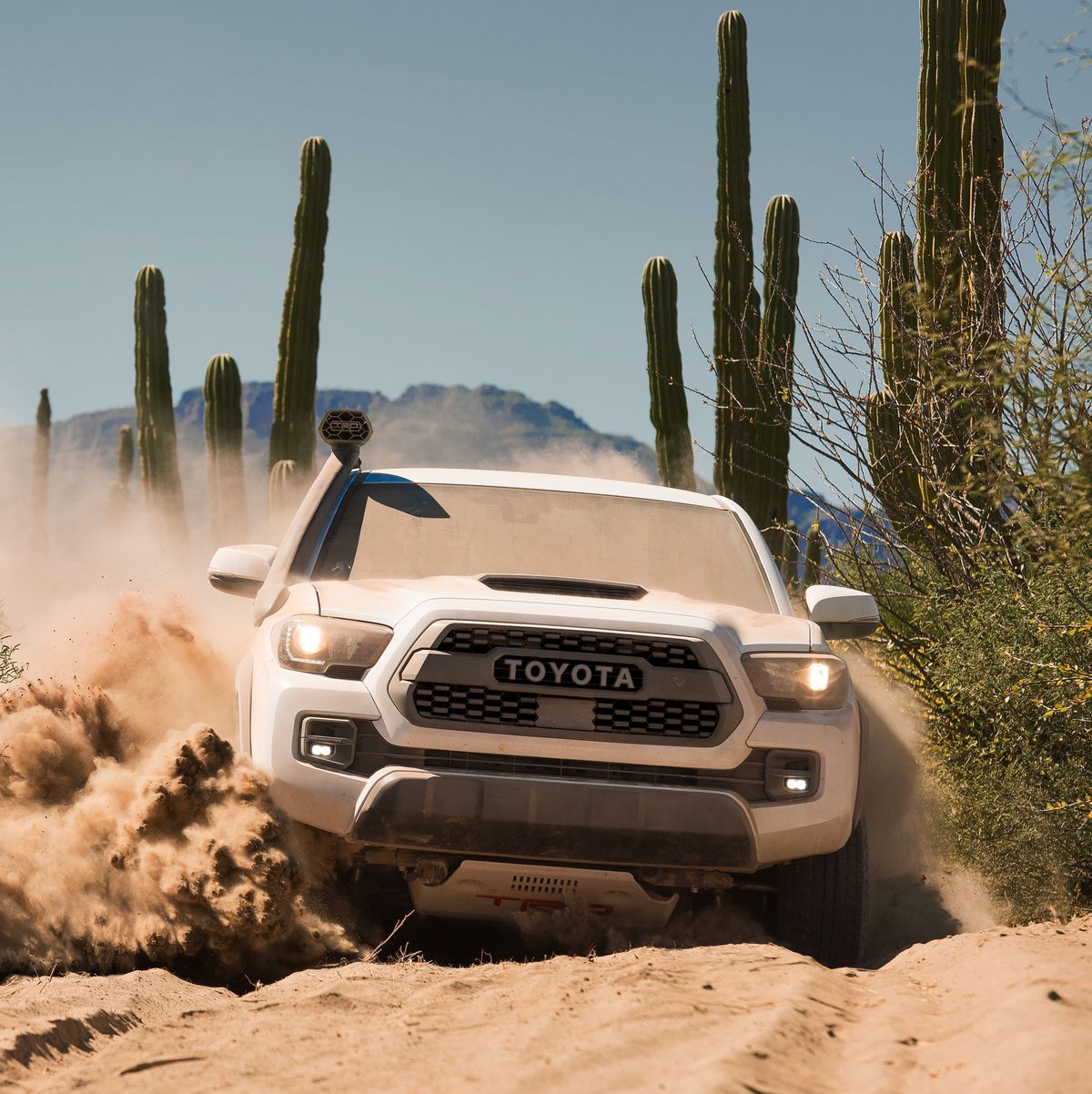 Toyota Tacoma Pickup's Bad Ass Off Road