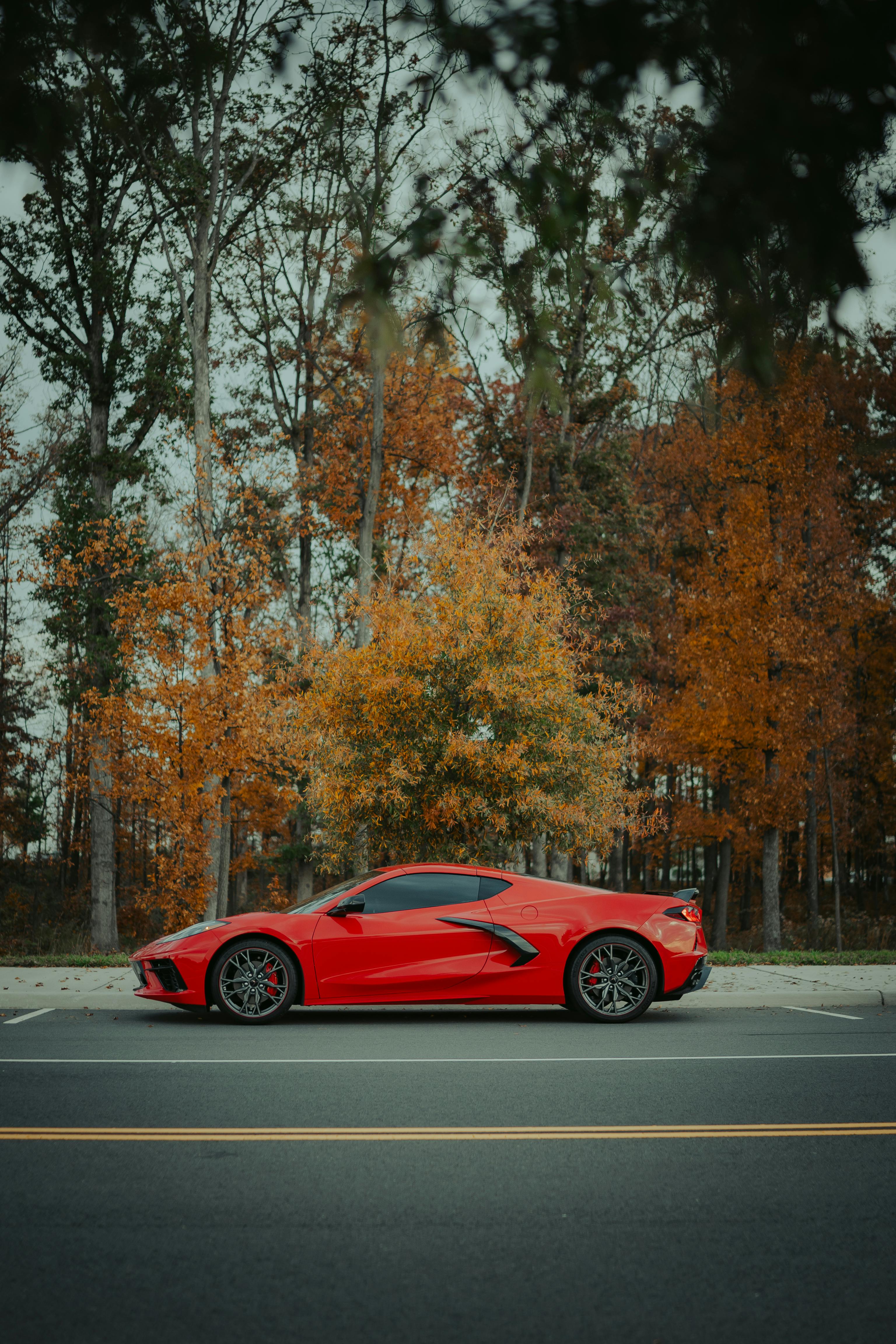 Corvette Stingray Photo, Download