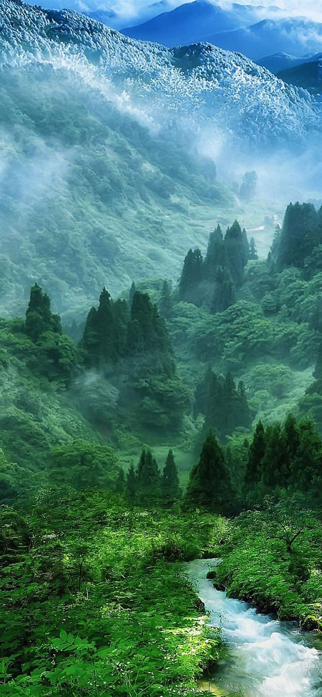 Nature Mist Mountain Wood Forest River