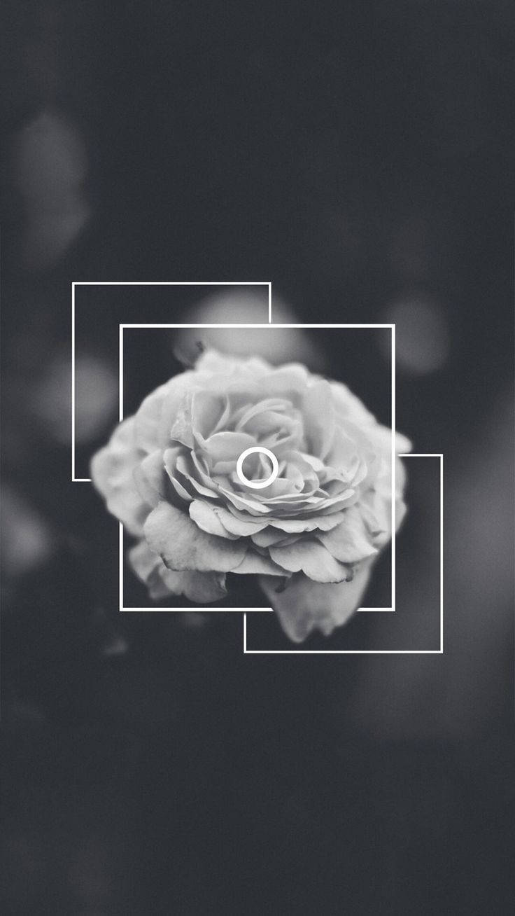 Download free Black Aesthetic iPhone
