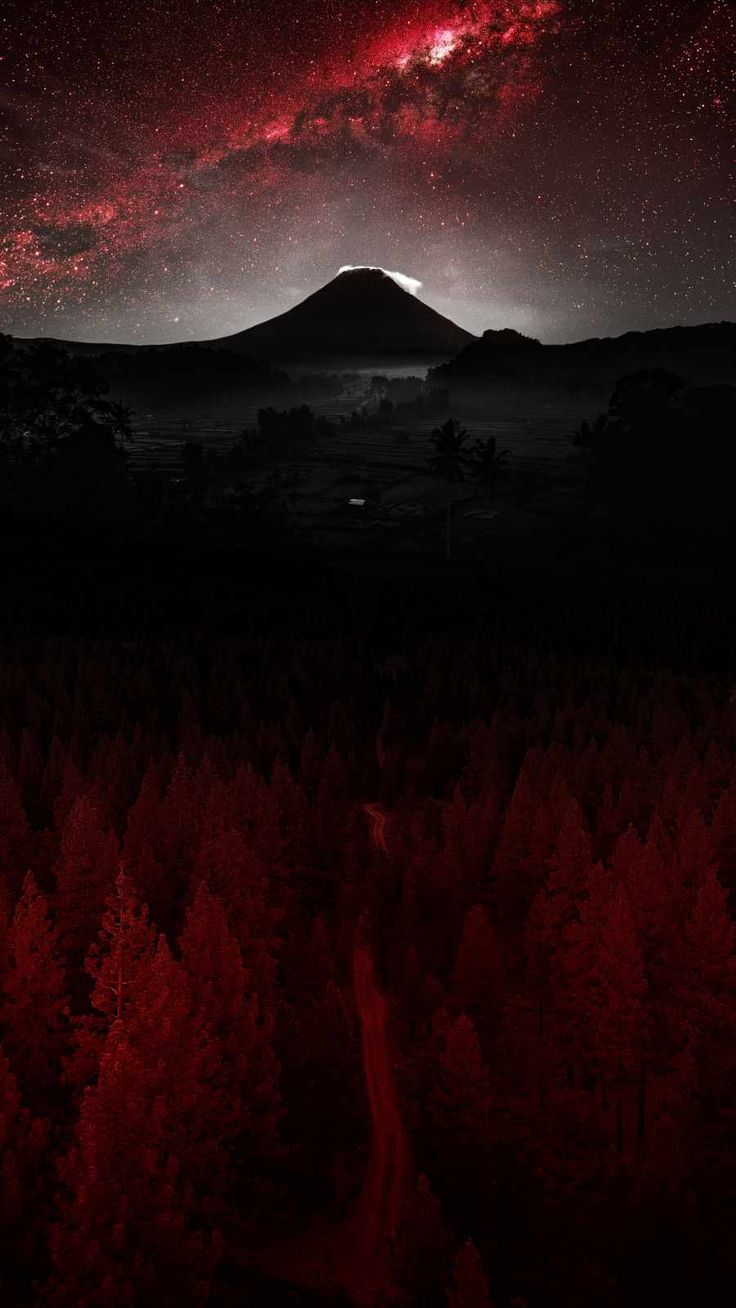 Mystic Forest IPhone Wallpaper