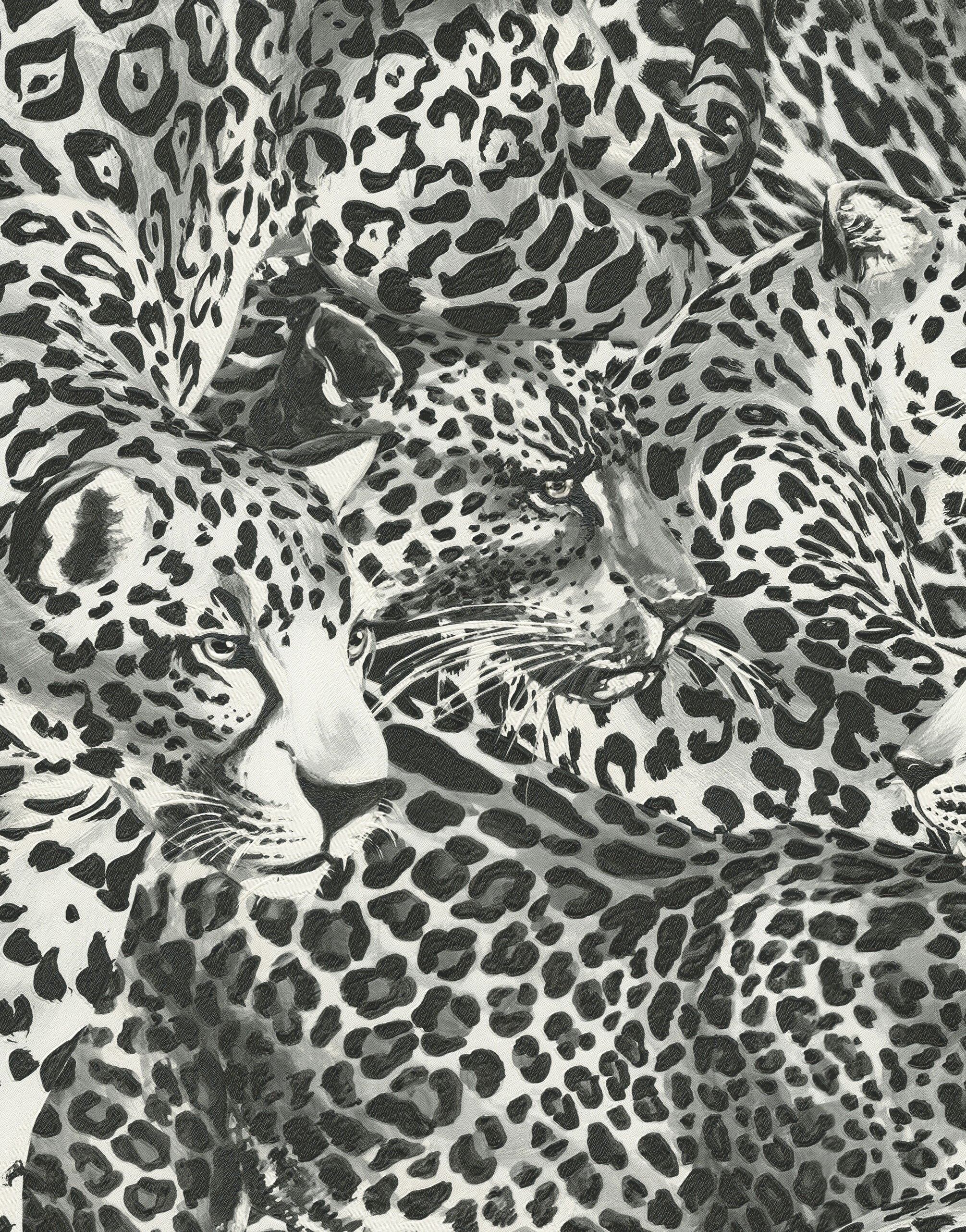 Leopardo Incognito Wallpaper in Alessandra & Gabbana Casa