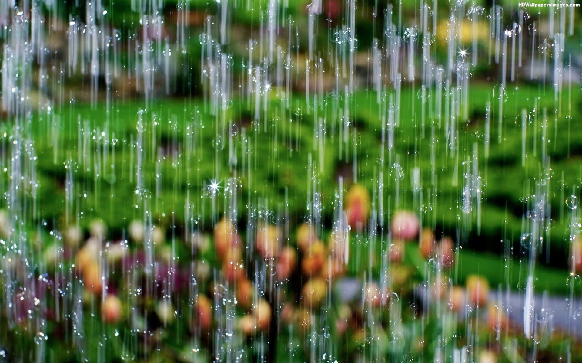 Rain on a Desktop Wallpaper