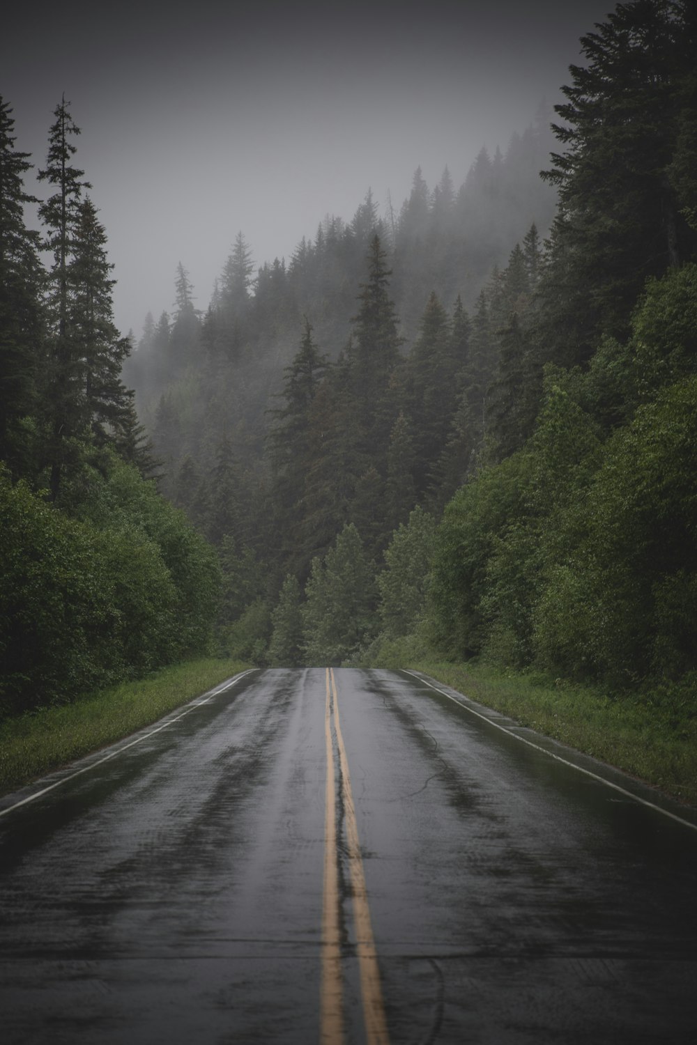 Rainy Road Picture. Download