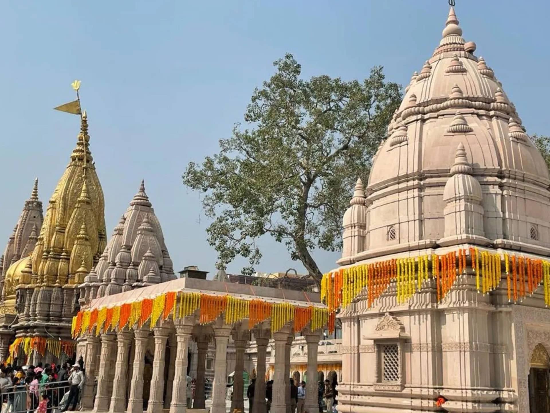Shri Kashi Vishwanath Temple