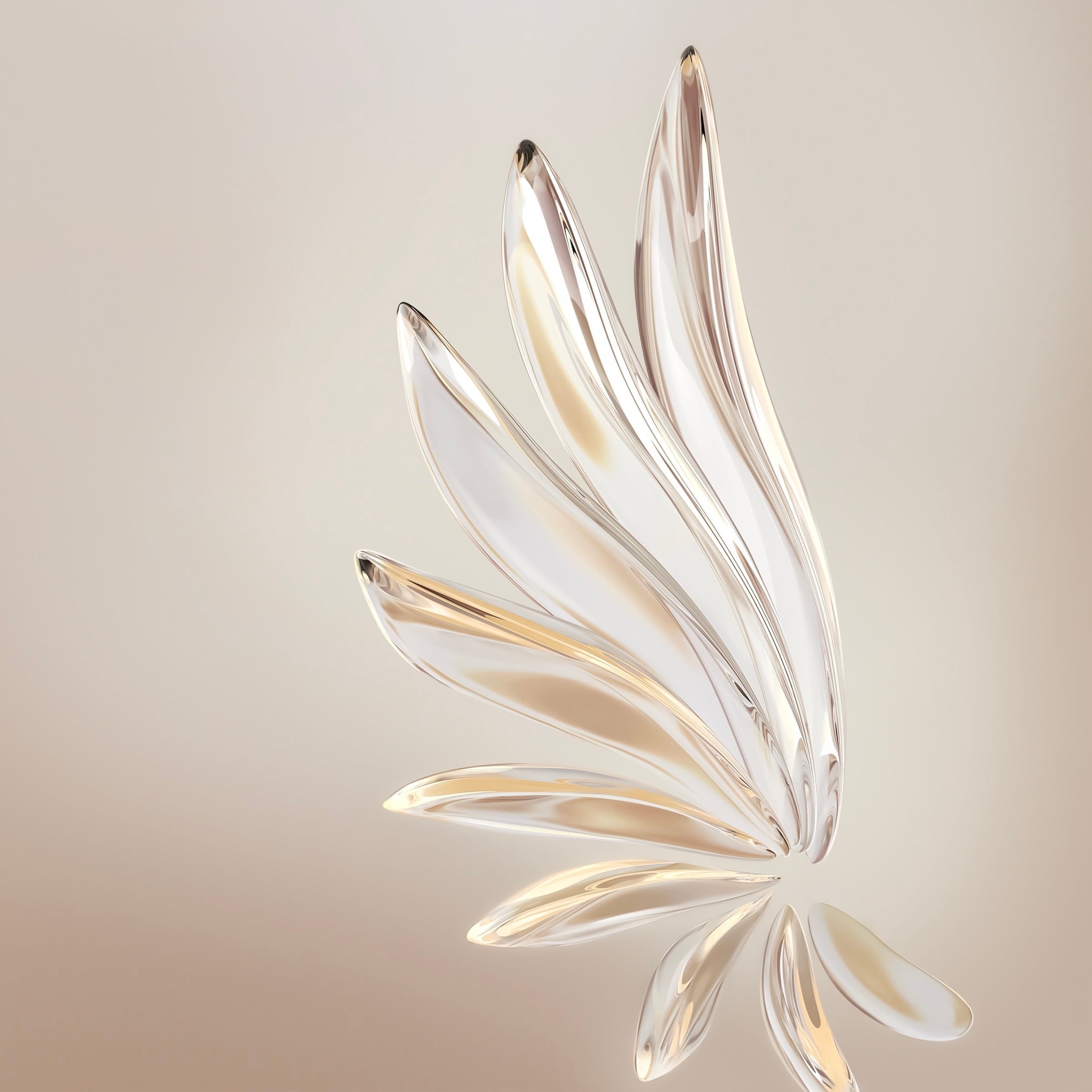 Download HONOR 70 Series Wallpaper