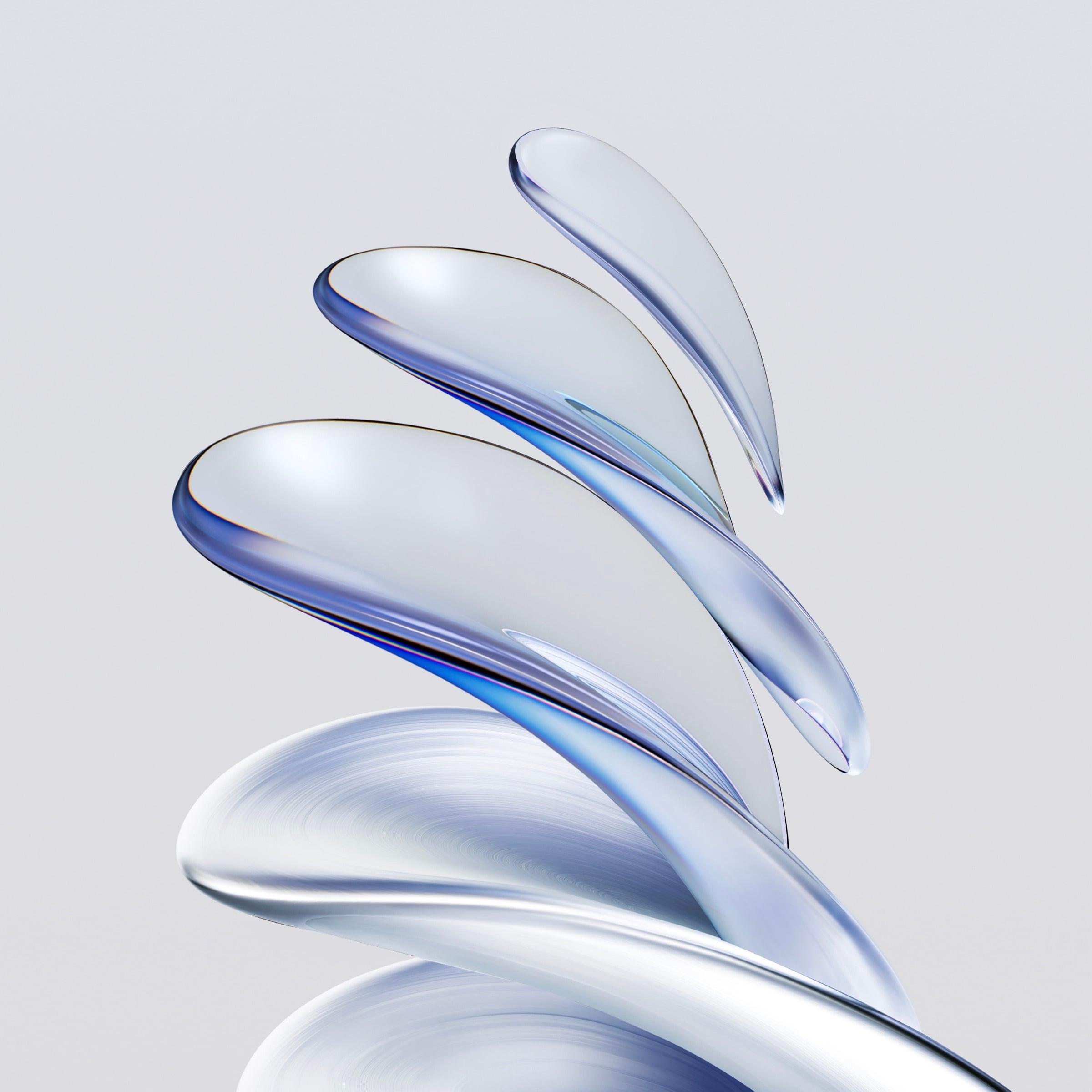 Download HONOR 70 Series Wallpaper