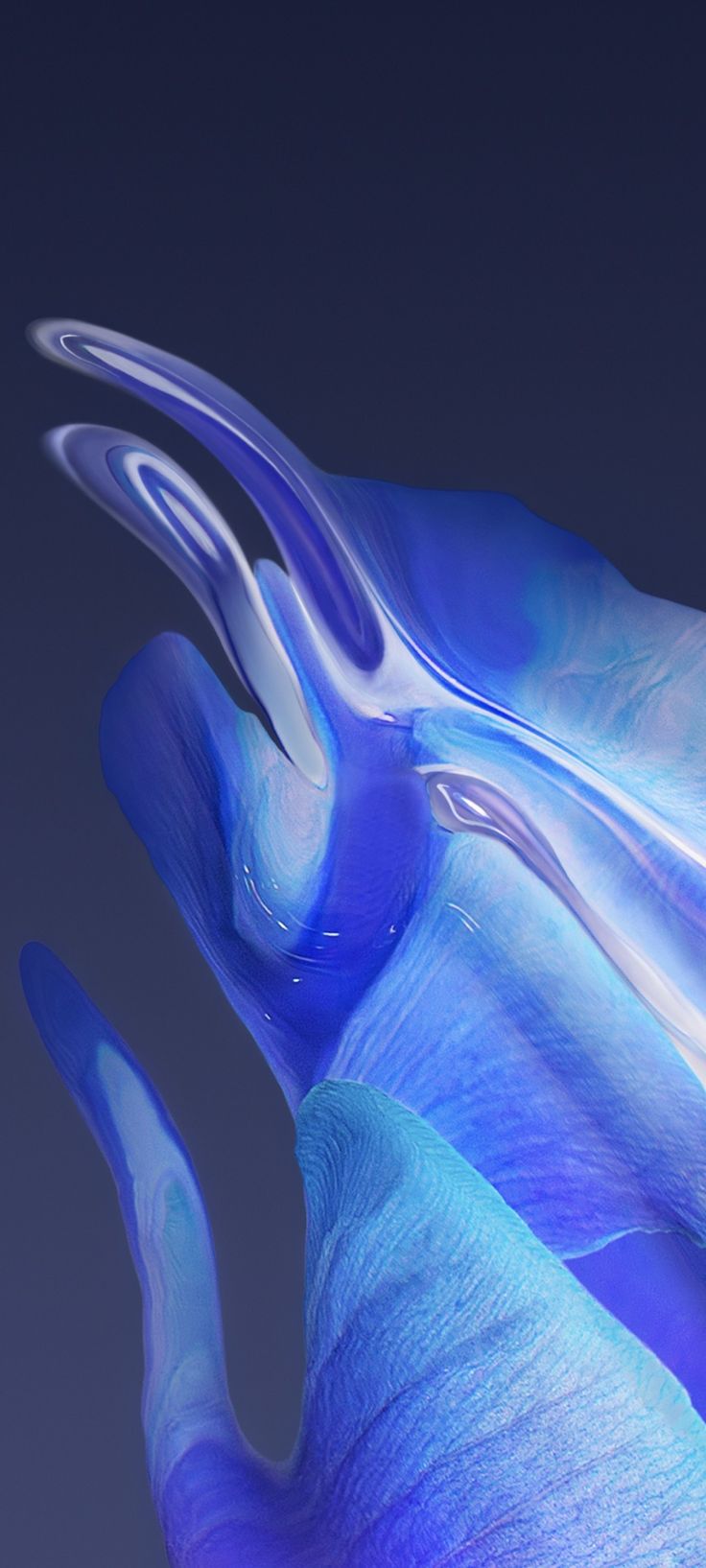 Honor 70 Stock Wallpaper. Android