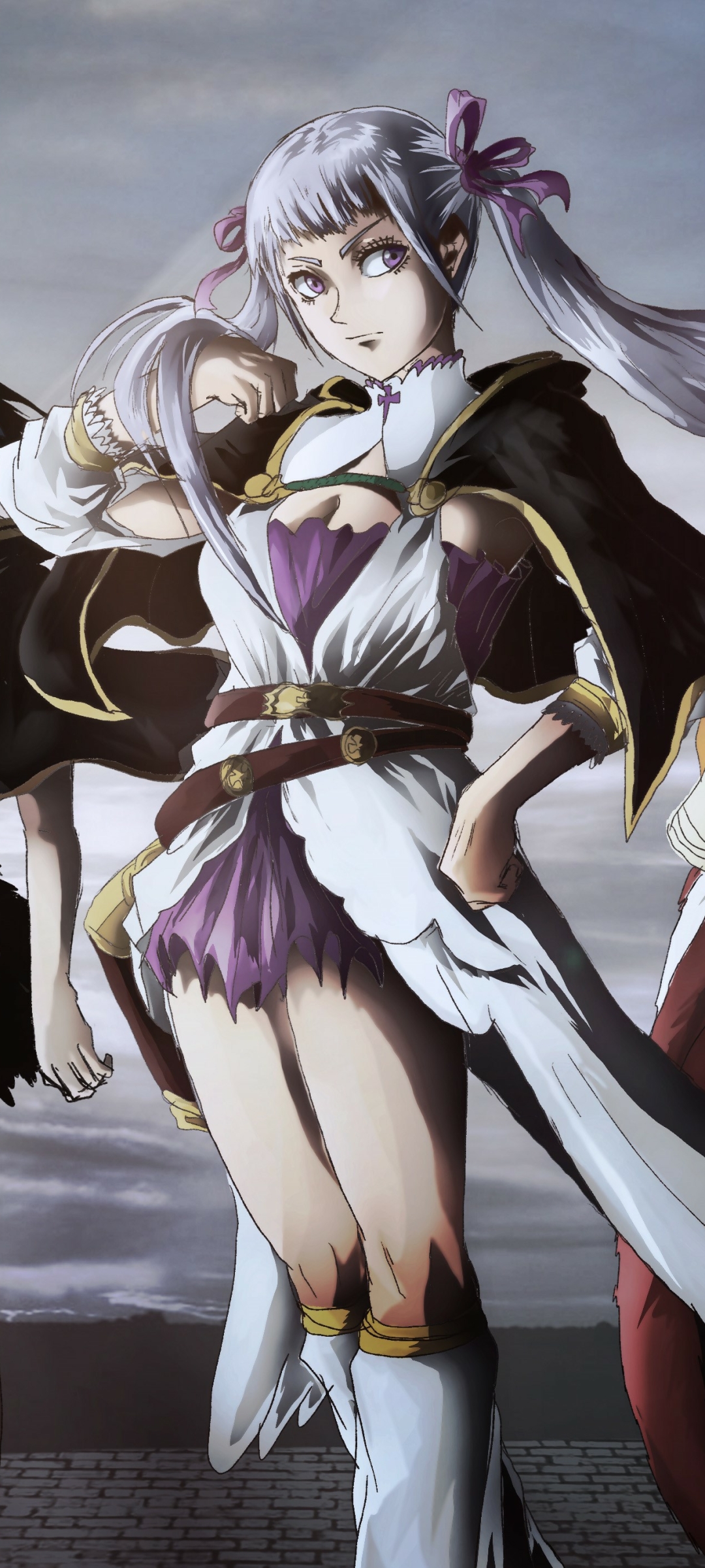 Download Noelle Silva Anime Black
