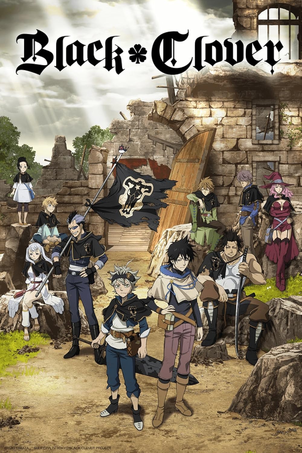 Black Clover TV Series 2017–2021