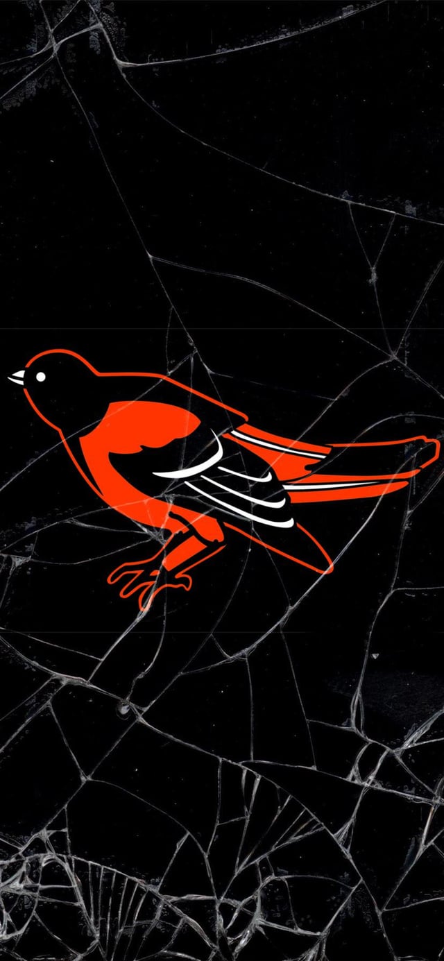 Baltimore Orioles wallpaper phone, r