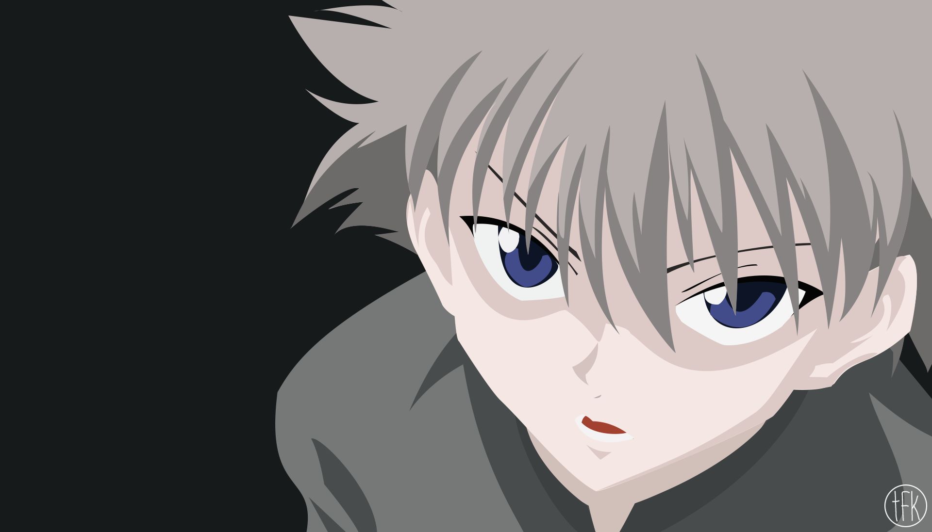 HD desktop wallpaper: Anime, Hunter X
