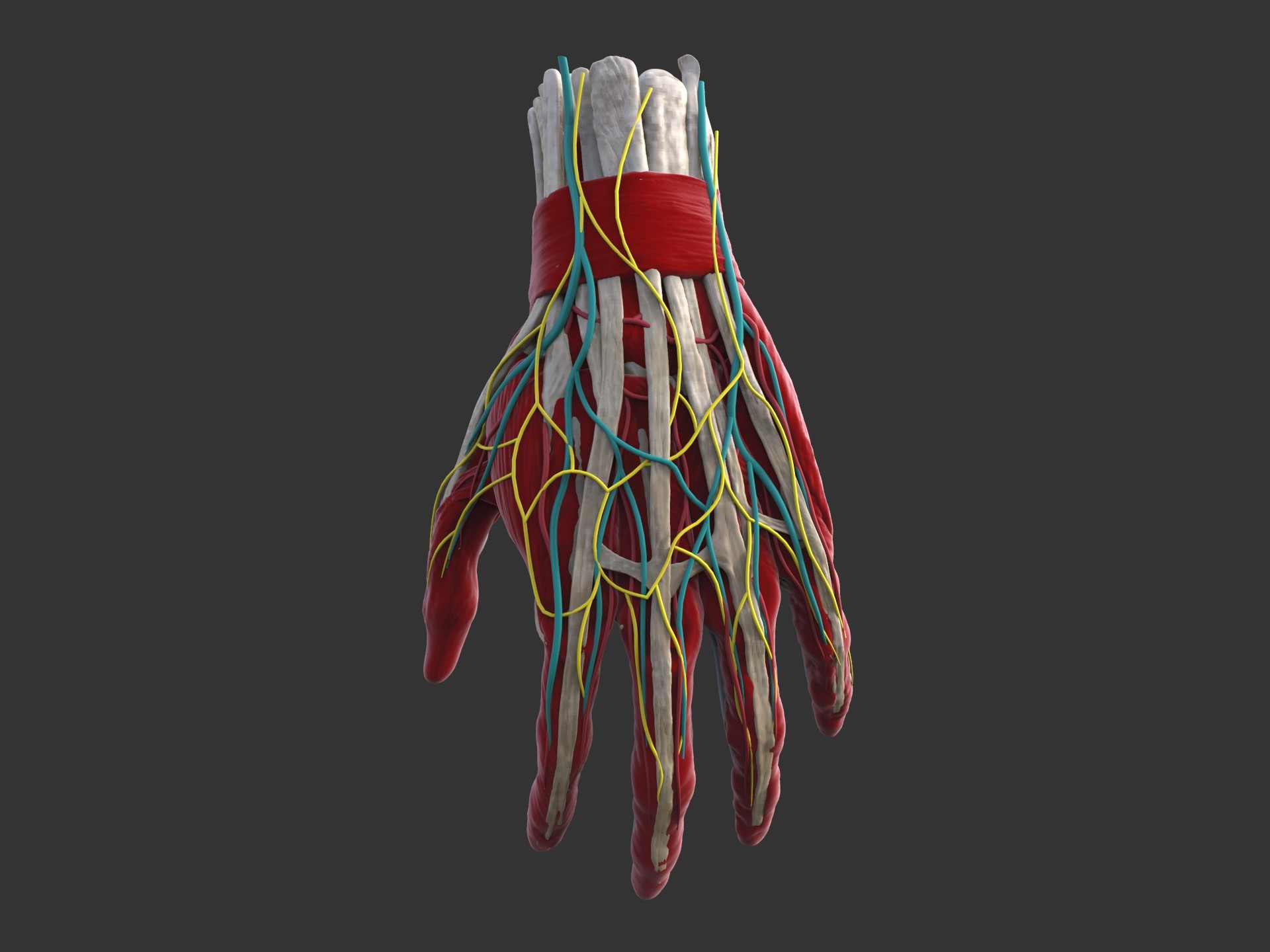 Krishankant Vishwakarma