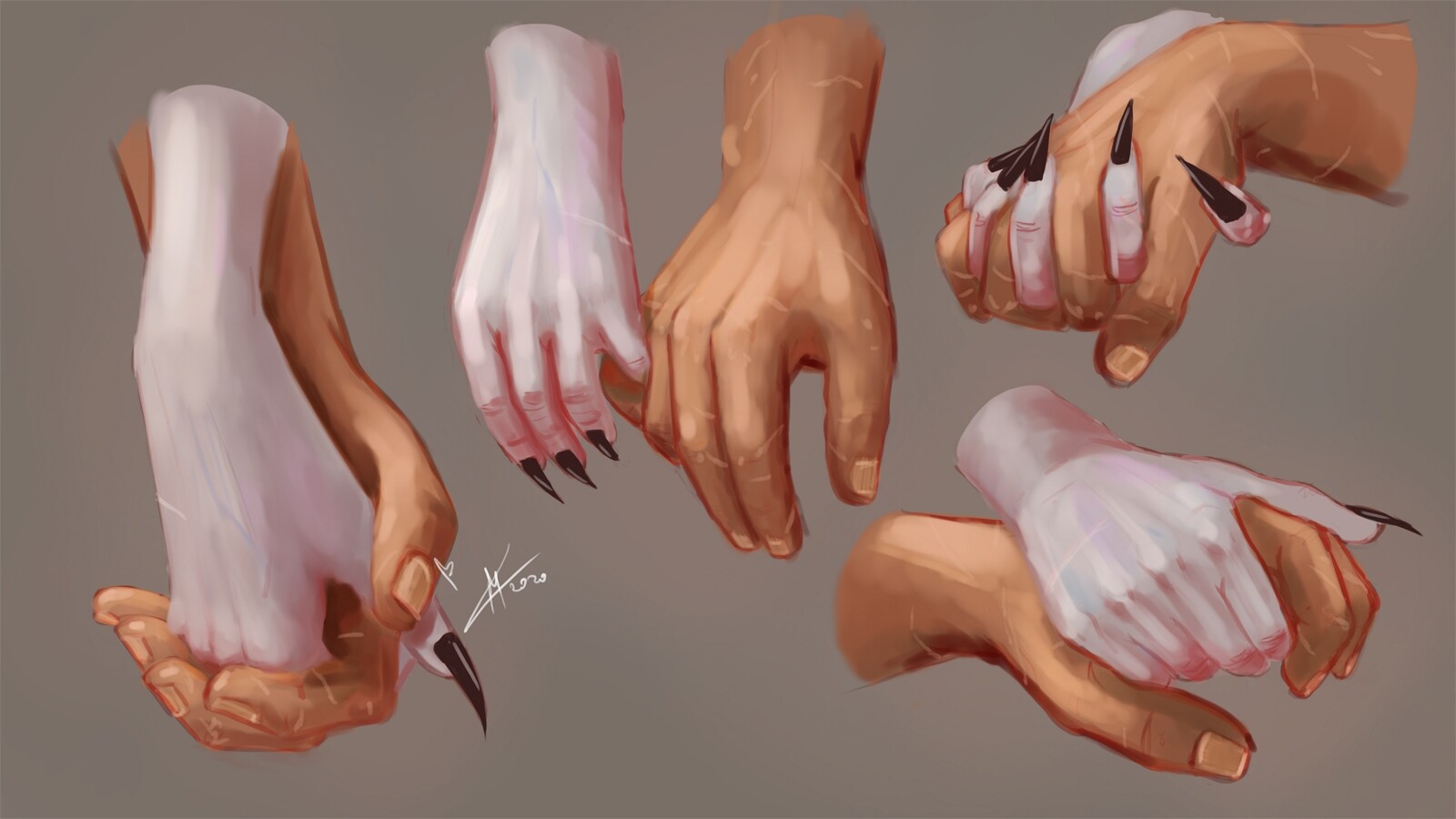 Magical Kaleidoscope anatomy