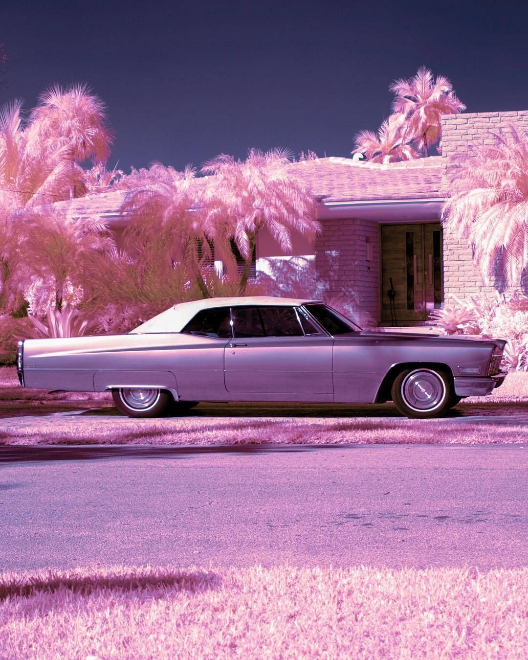 and now you're just a stranger's dream