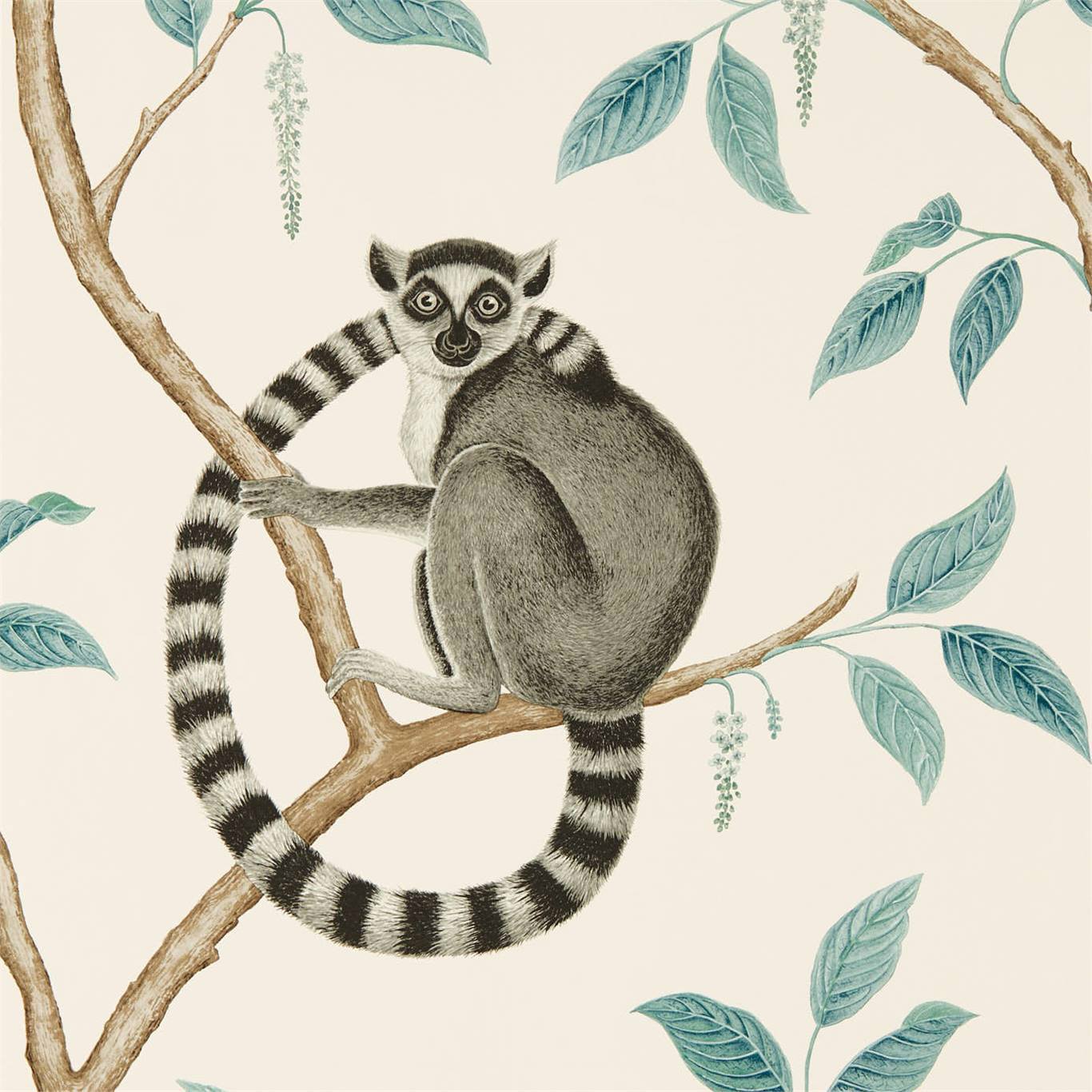 Ringtailed Lemur Ringtailed Lemur Stone